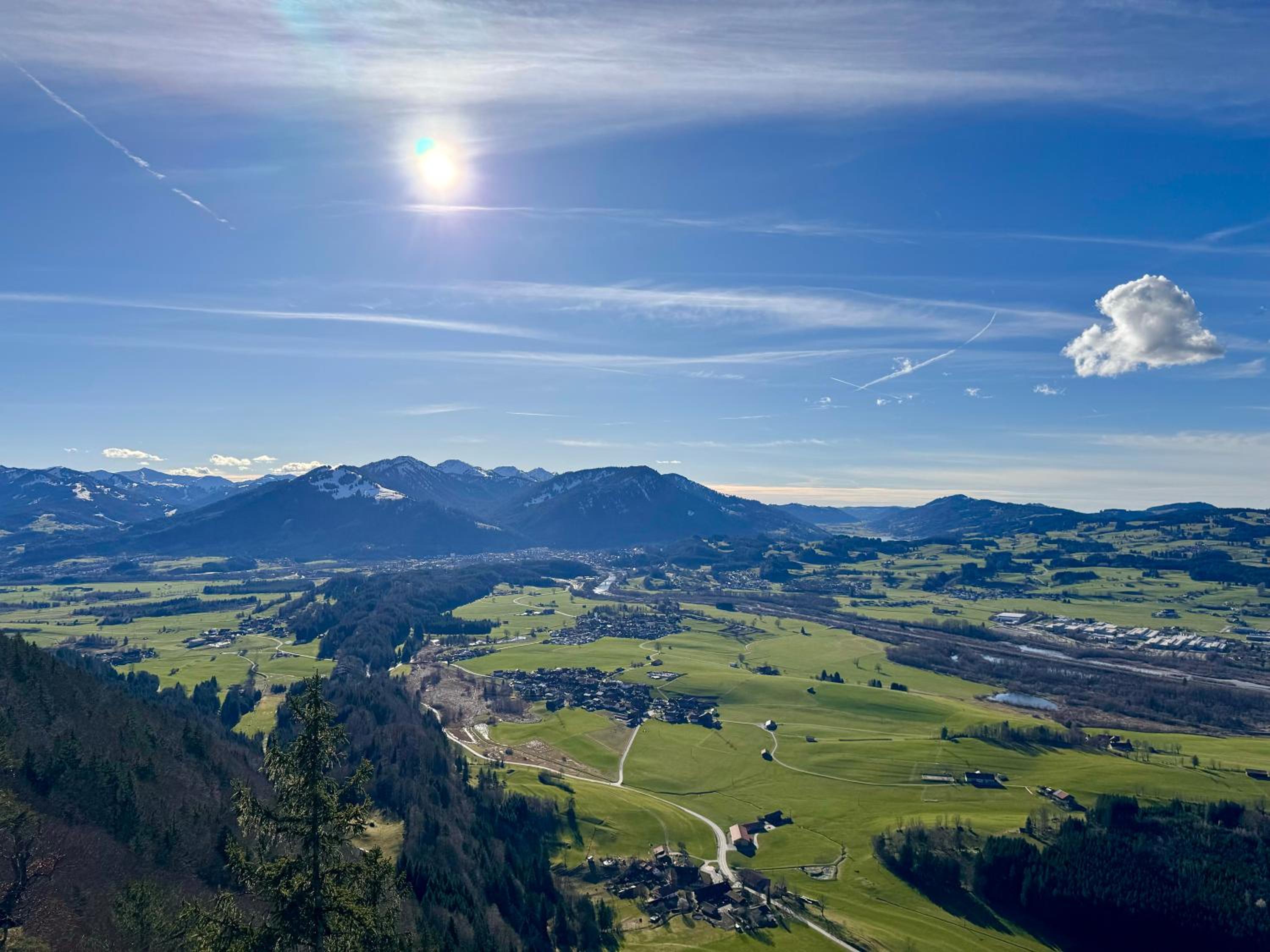 Das Vogelnest