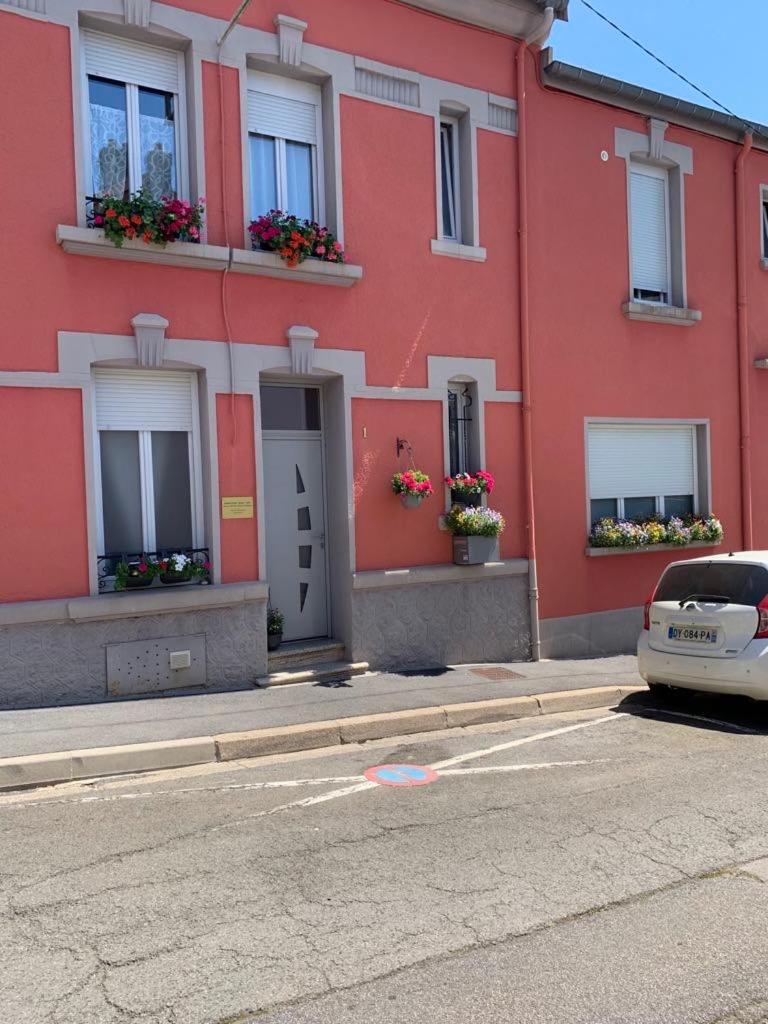 Couleur Framboise, photo 6