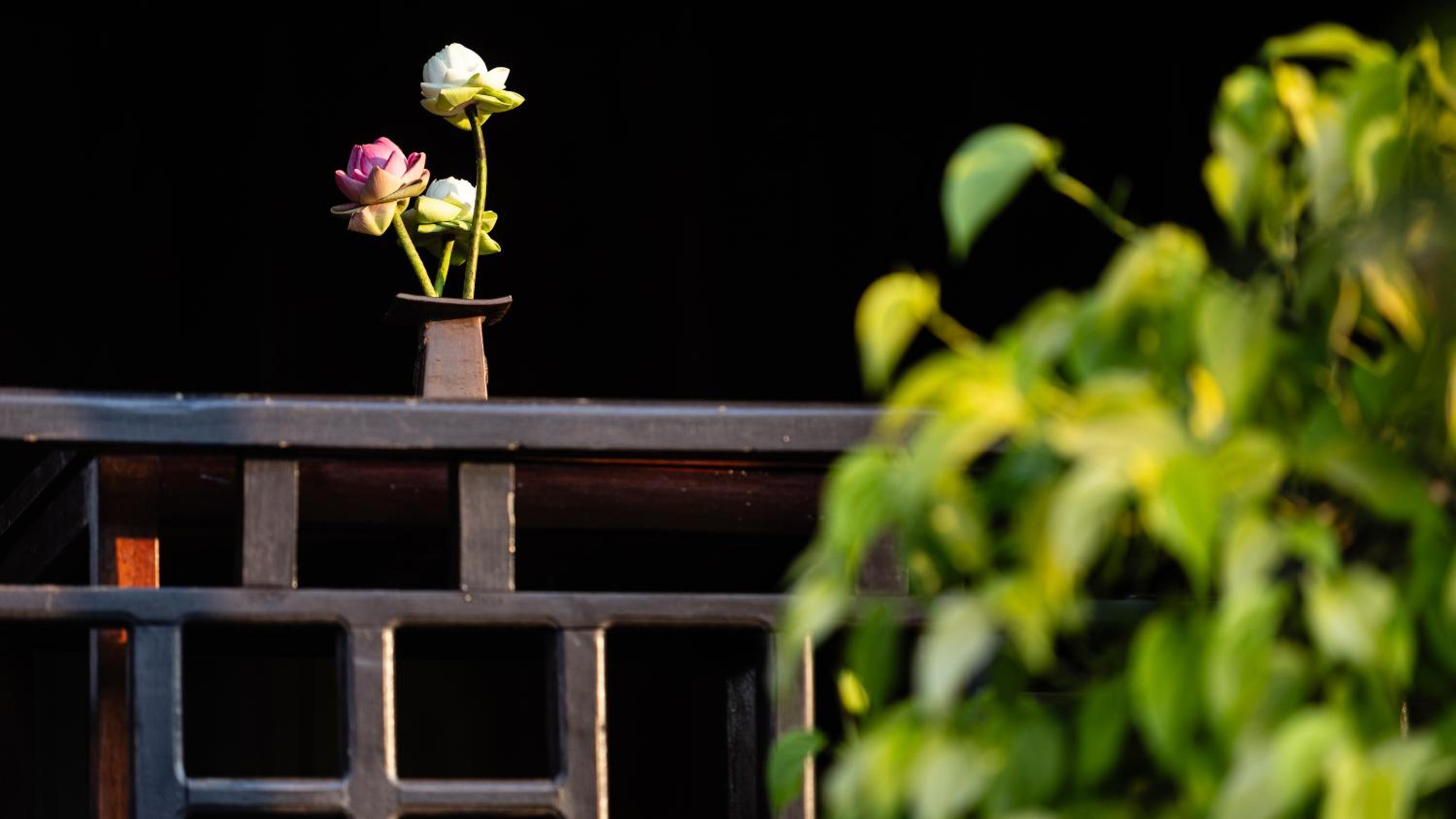 Khmer Lodge - Eco-Lodge