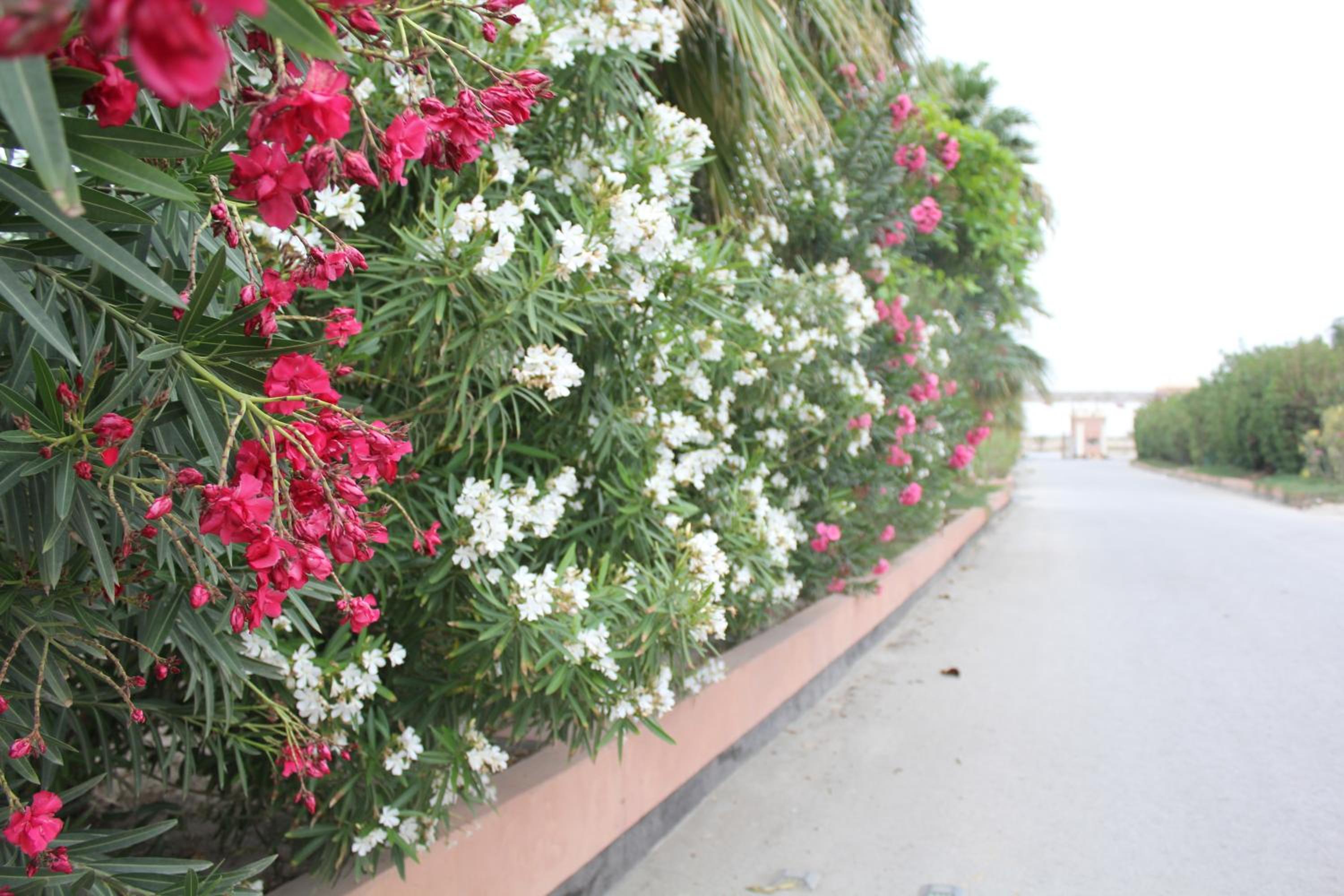 Bahrain Beach Bay