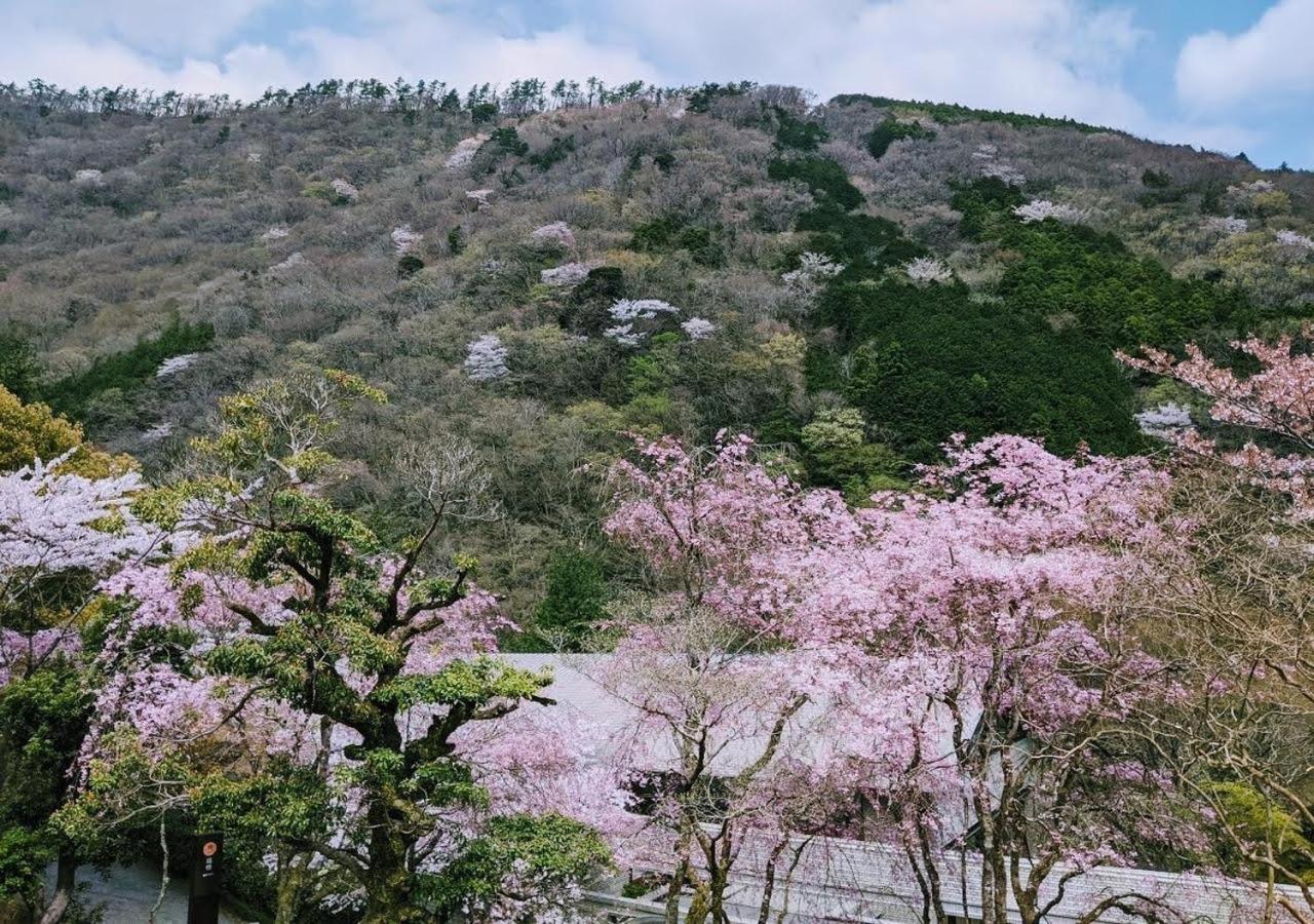 condominium SAKURA B5