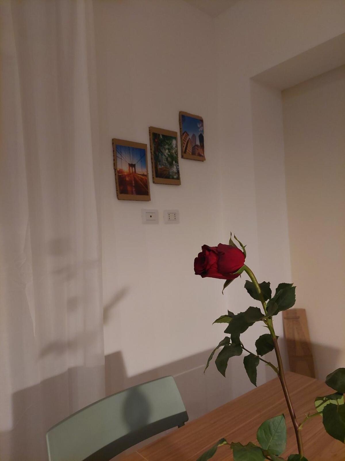 CASA DIESIS il posto giusto per amare Torino
