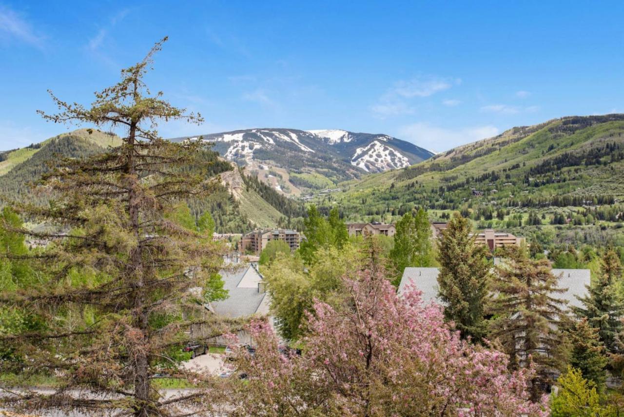 Stunning Views of Beaver Creek and 13min to Vail