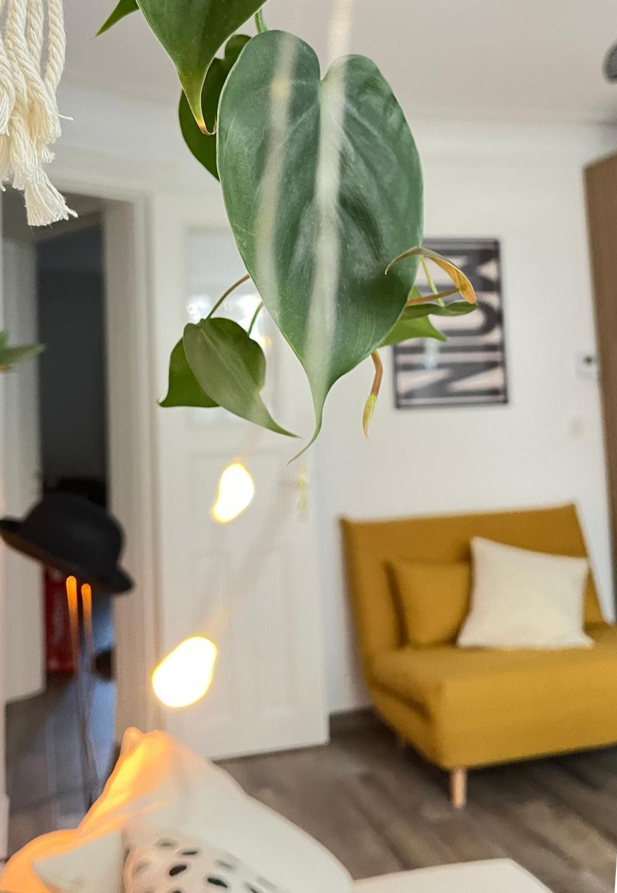 Stylish Central Apartment