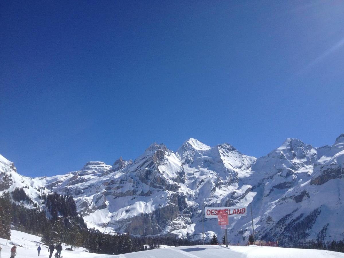 Appartment Chalet Sonnenheim view 4