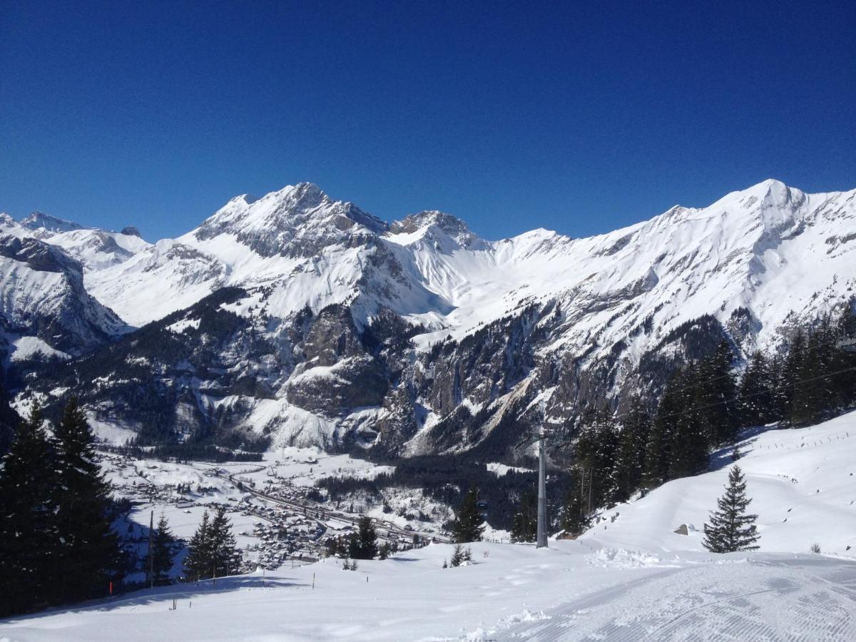 Appartment Chalet Sonnenheim view 2