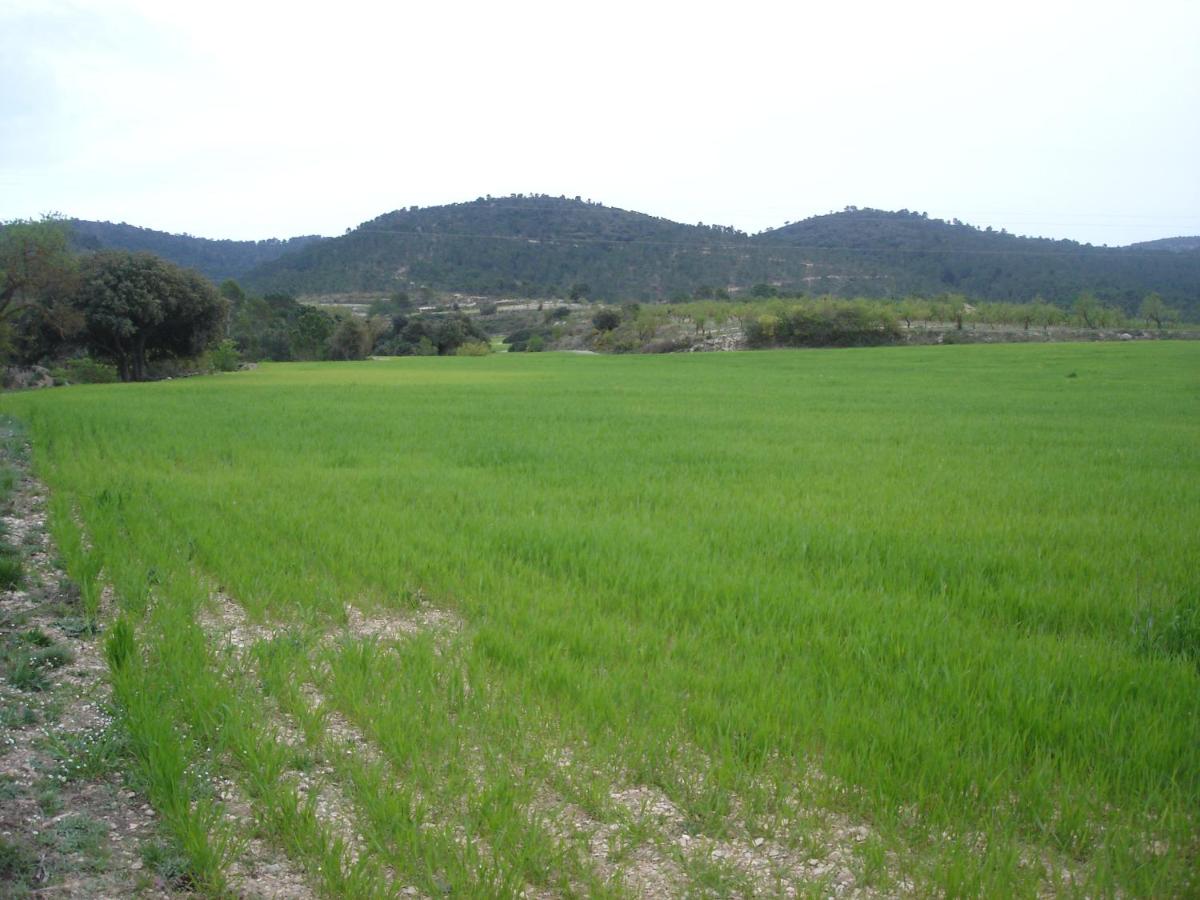 Photo 24