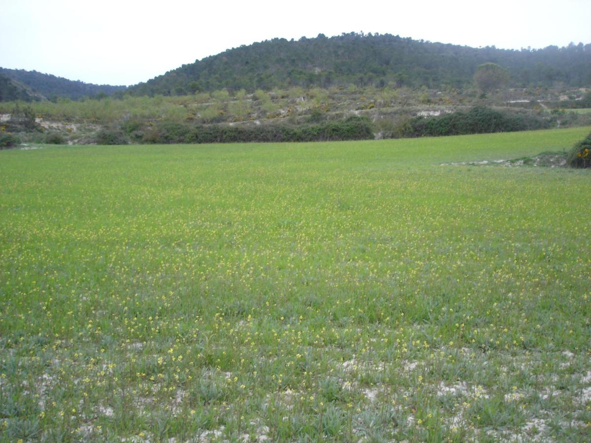 Photo 25