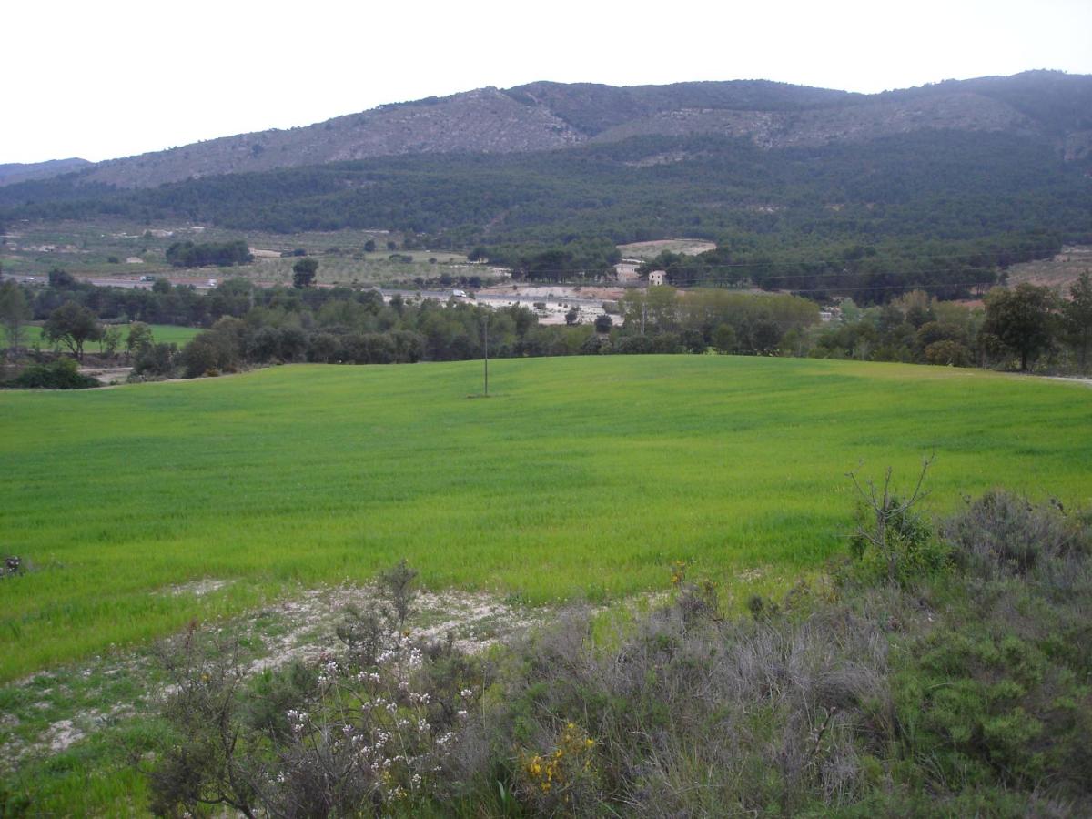 Photo 26