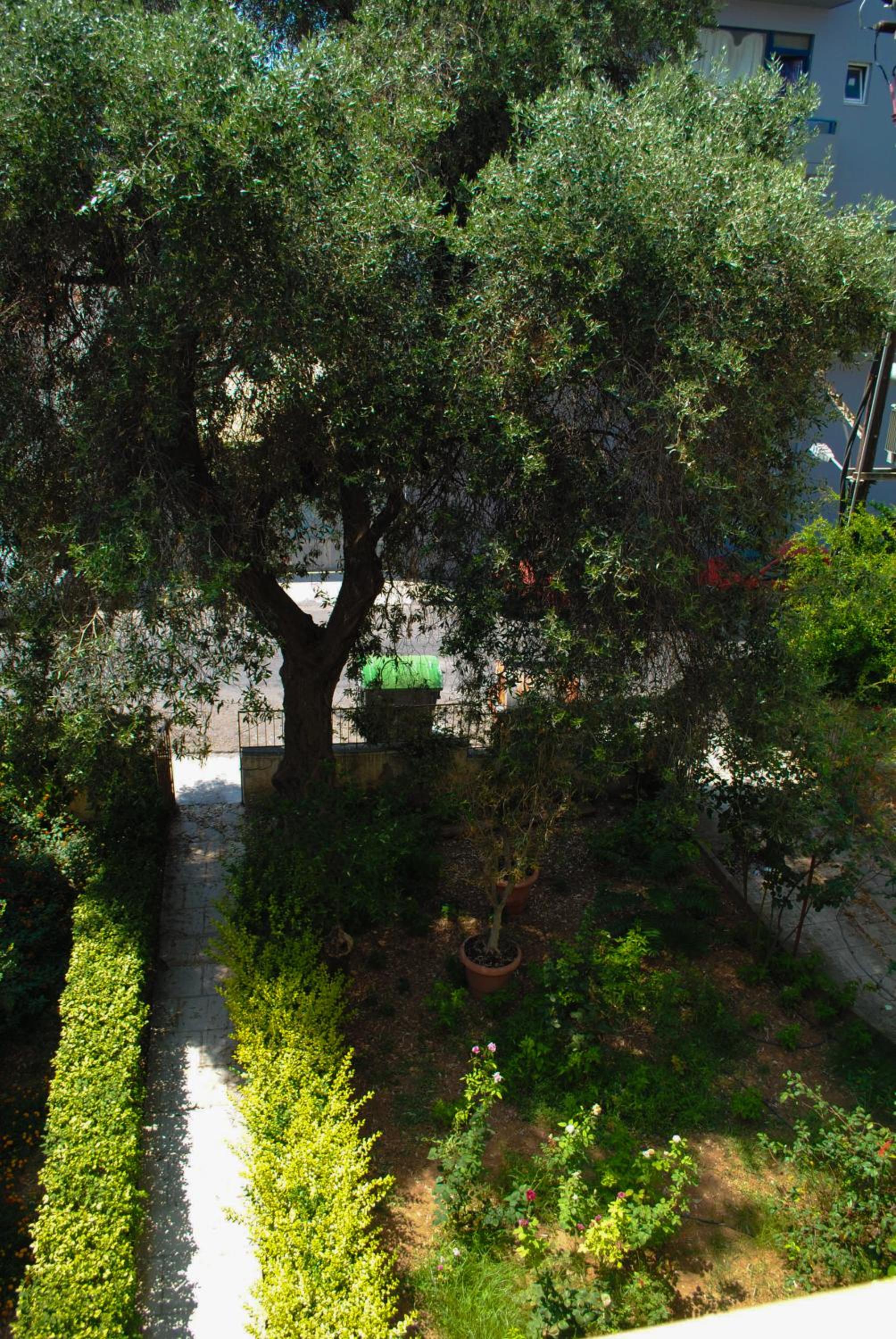 Marita's Apartment - Dikastirion
