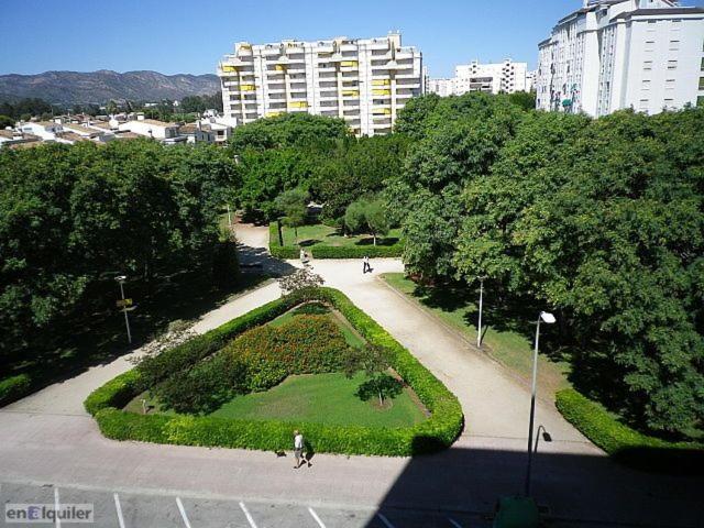 Photo 37