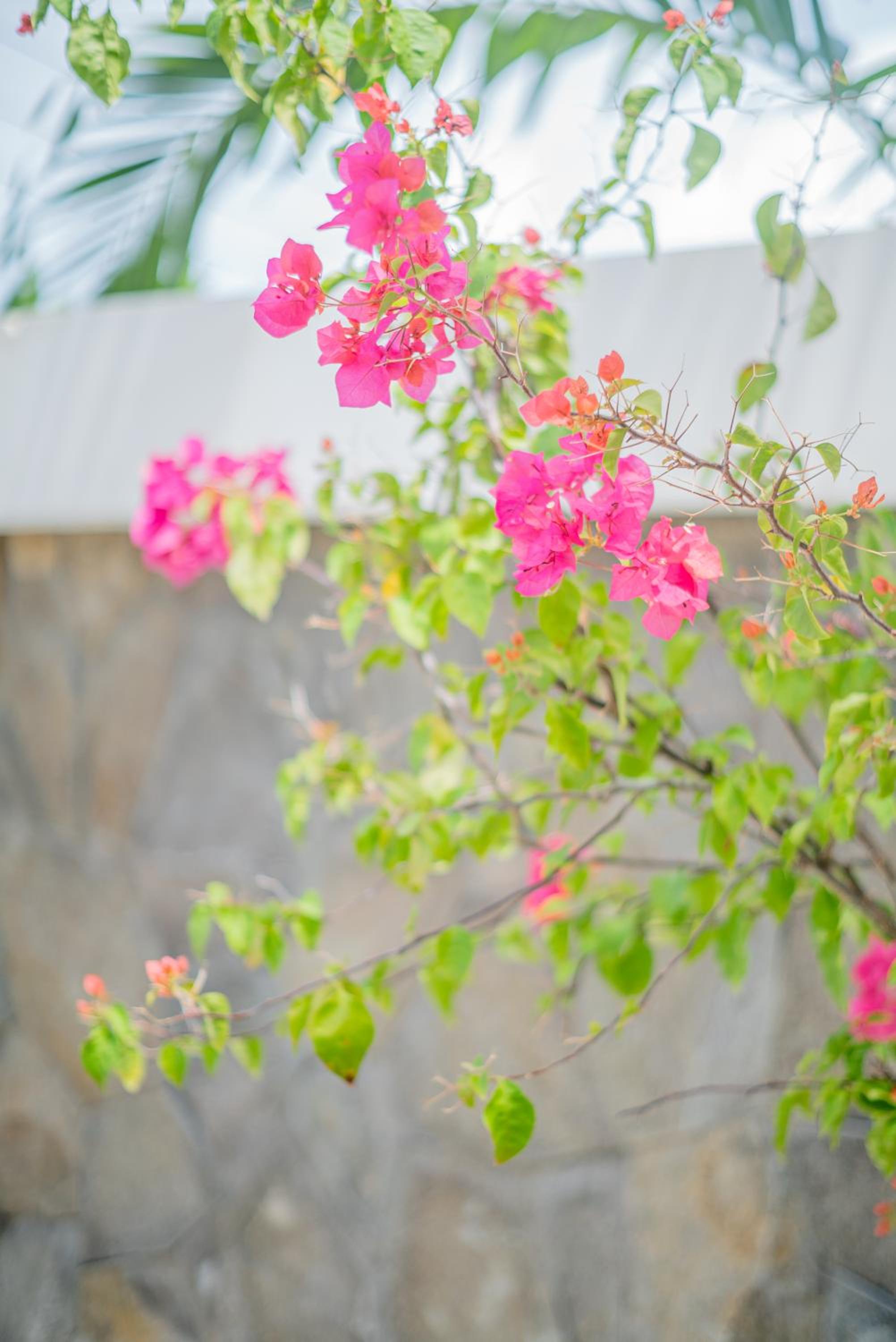 Casa Luna - 4BR villa near Canggu