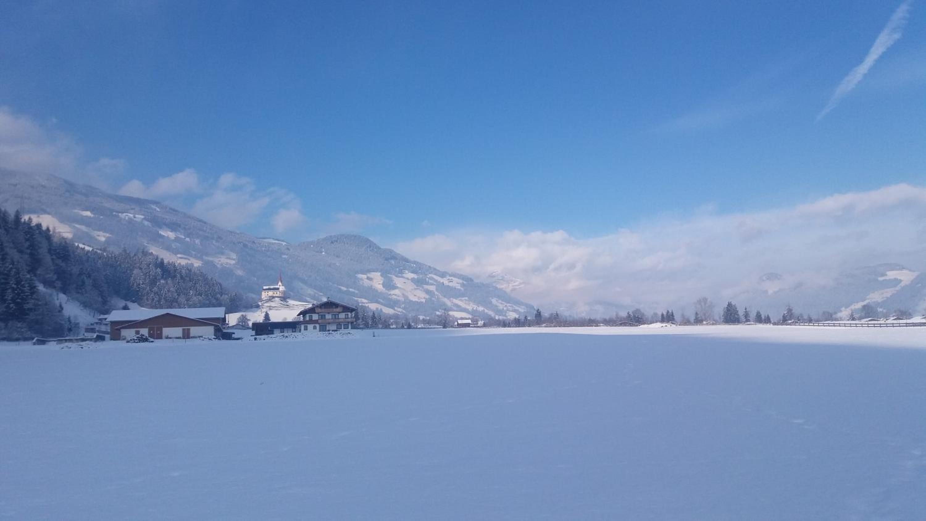 Photo 46