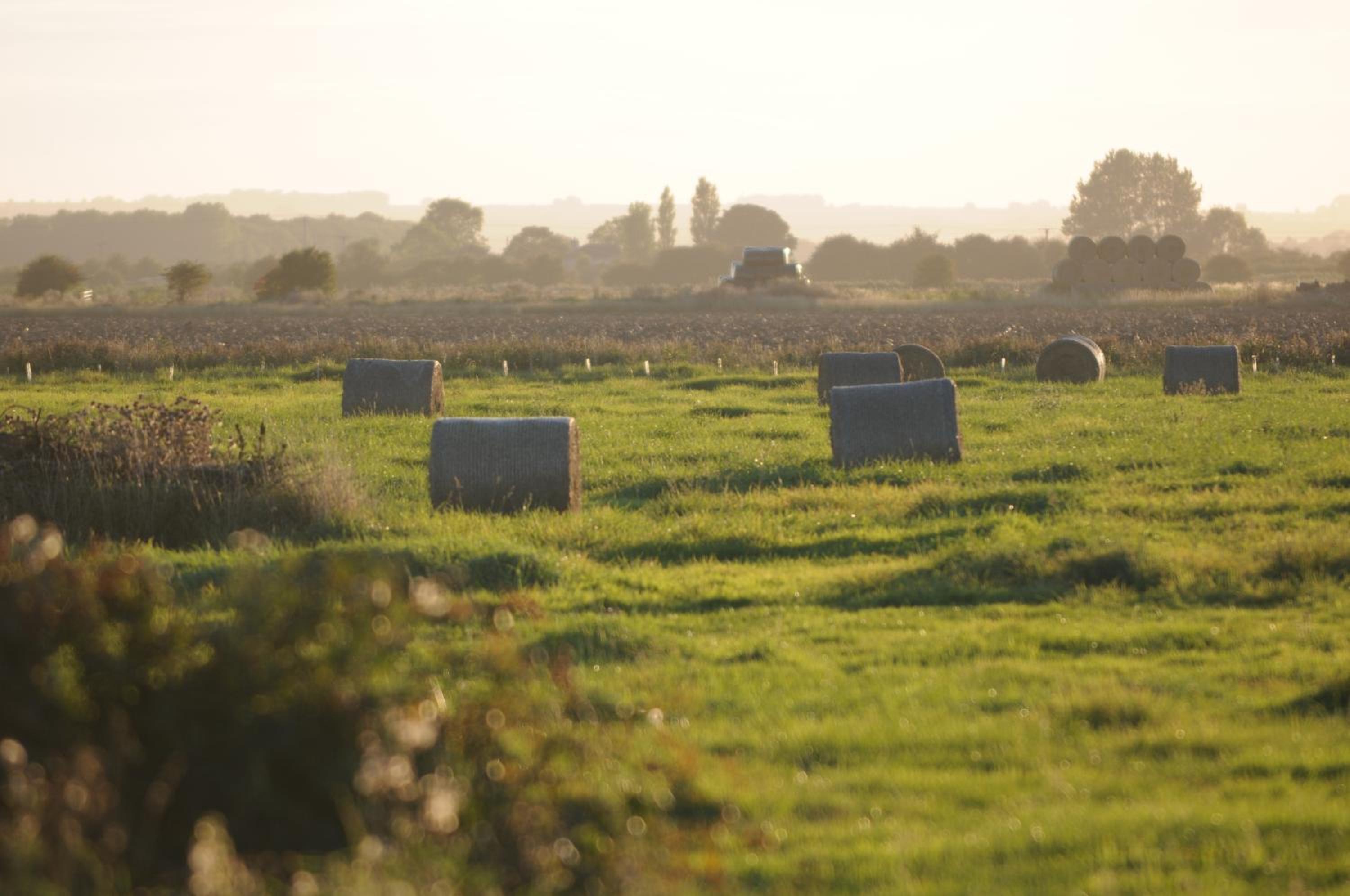 Manor Farm Stay