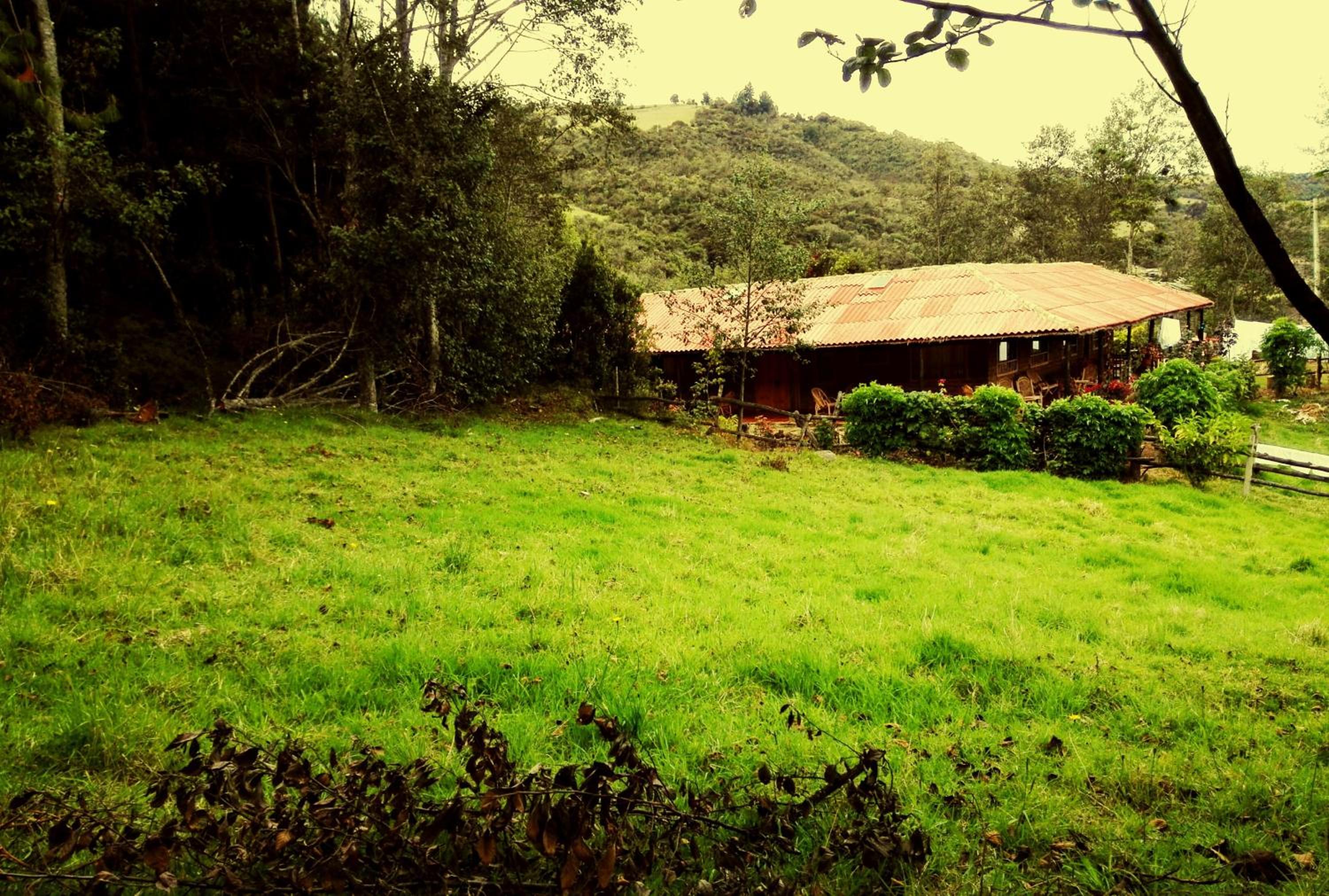 Photo 40