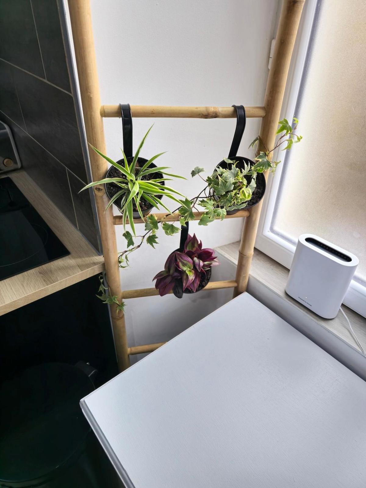Un pied-à-terre