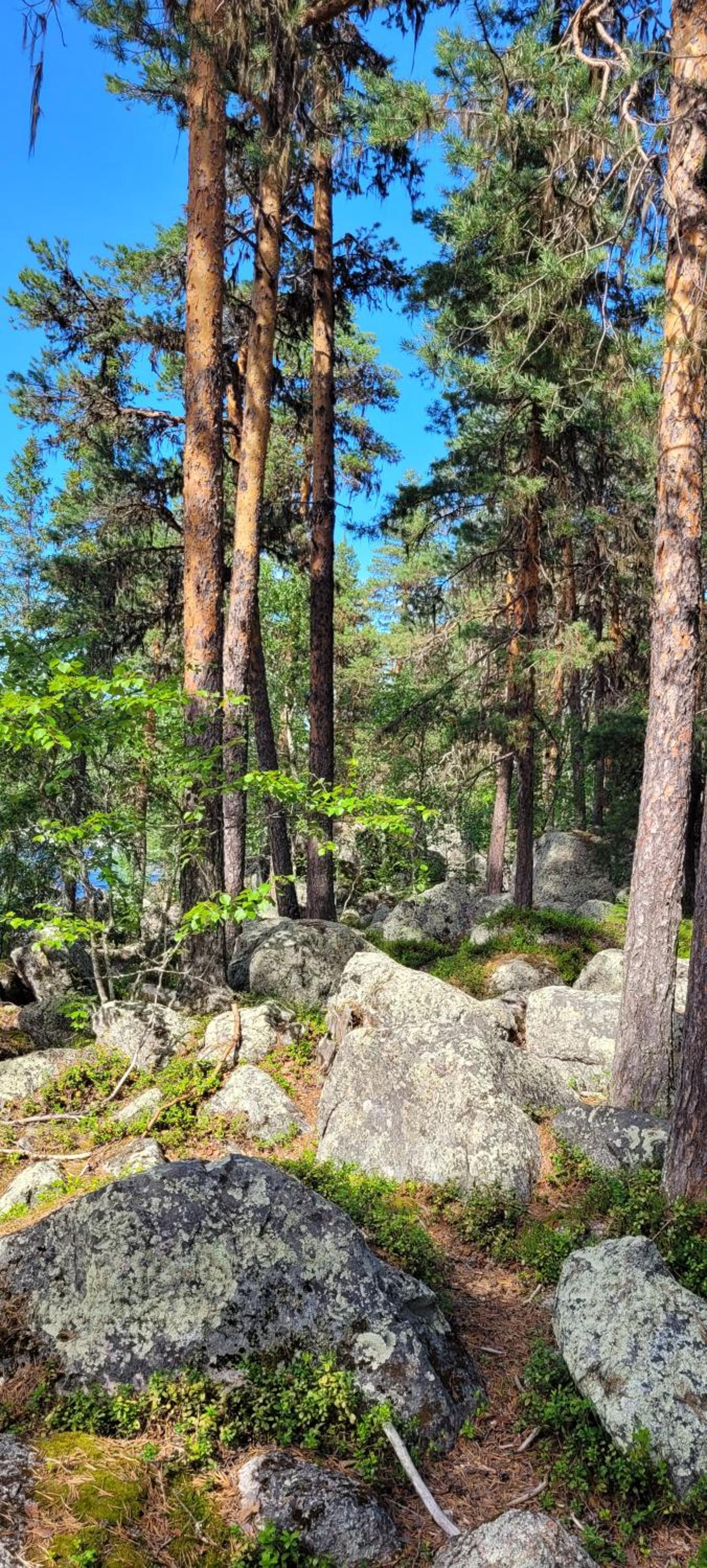Villa Stone House Lappland