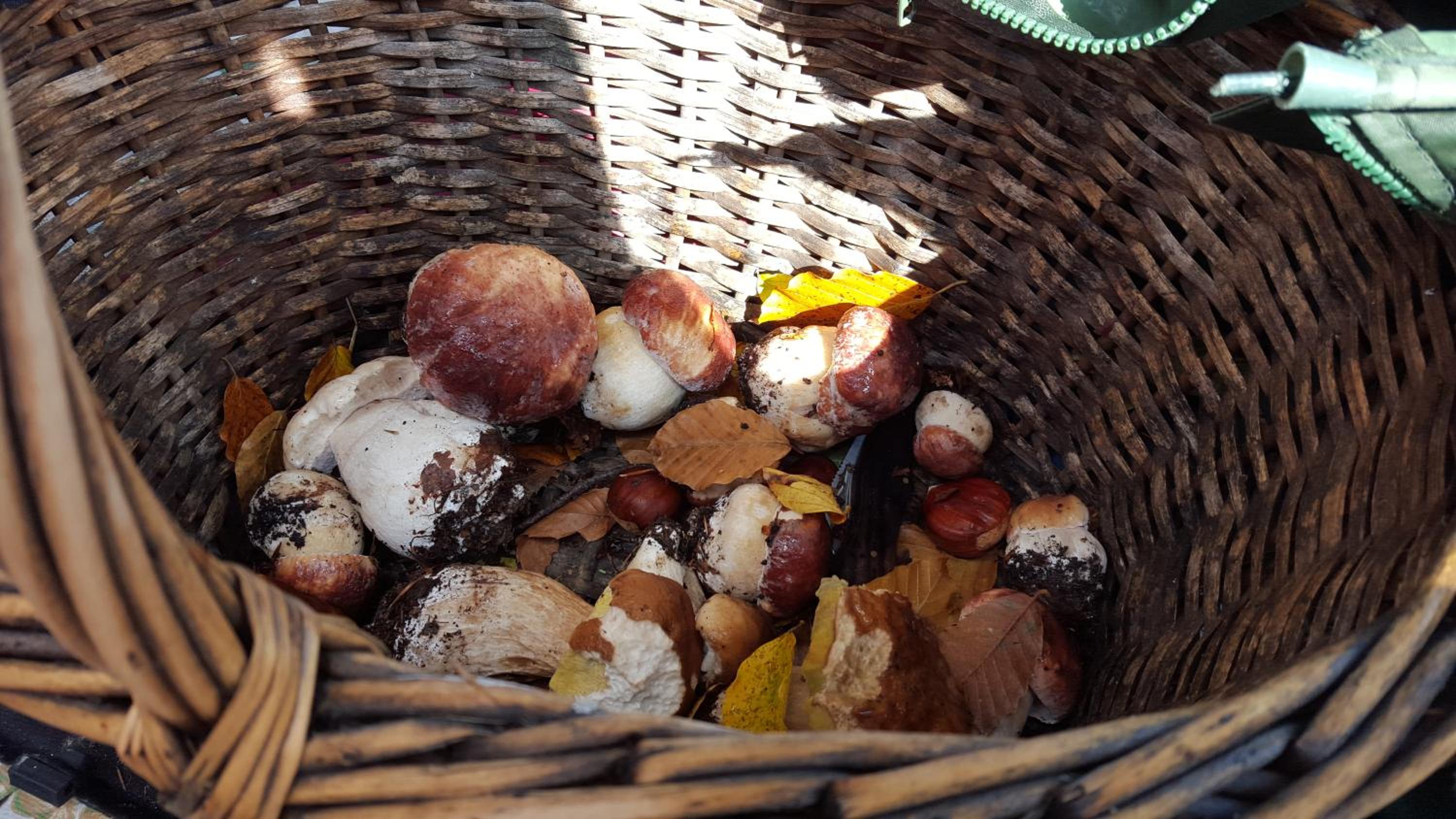La Castagna Matta