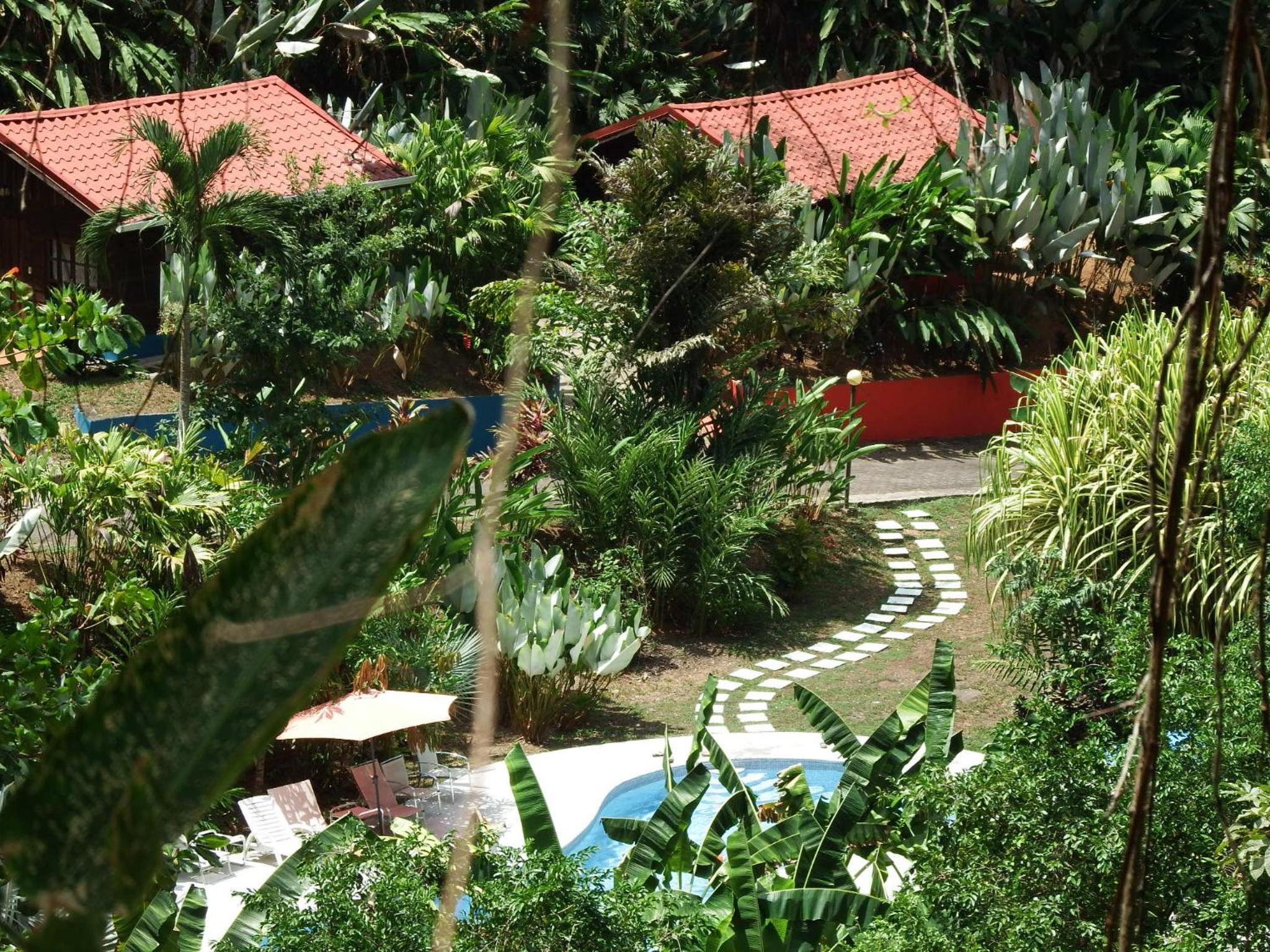 Selva Color - Forest & Beach EcoLodge