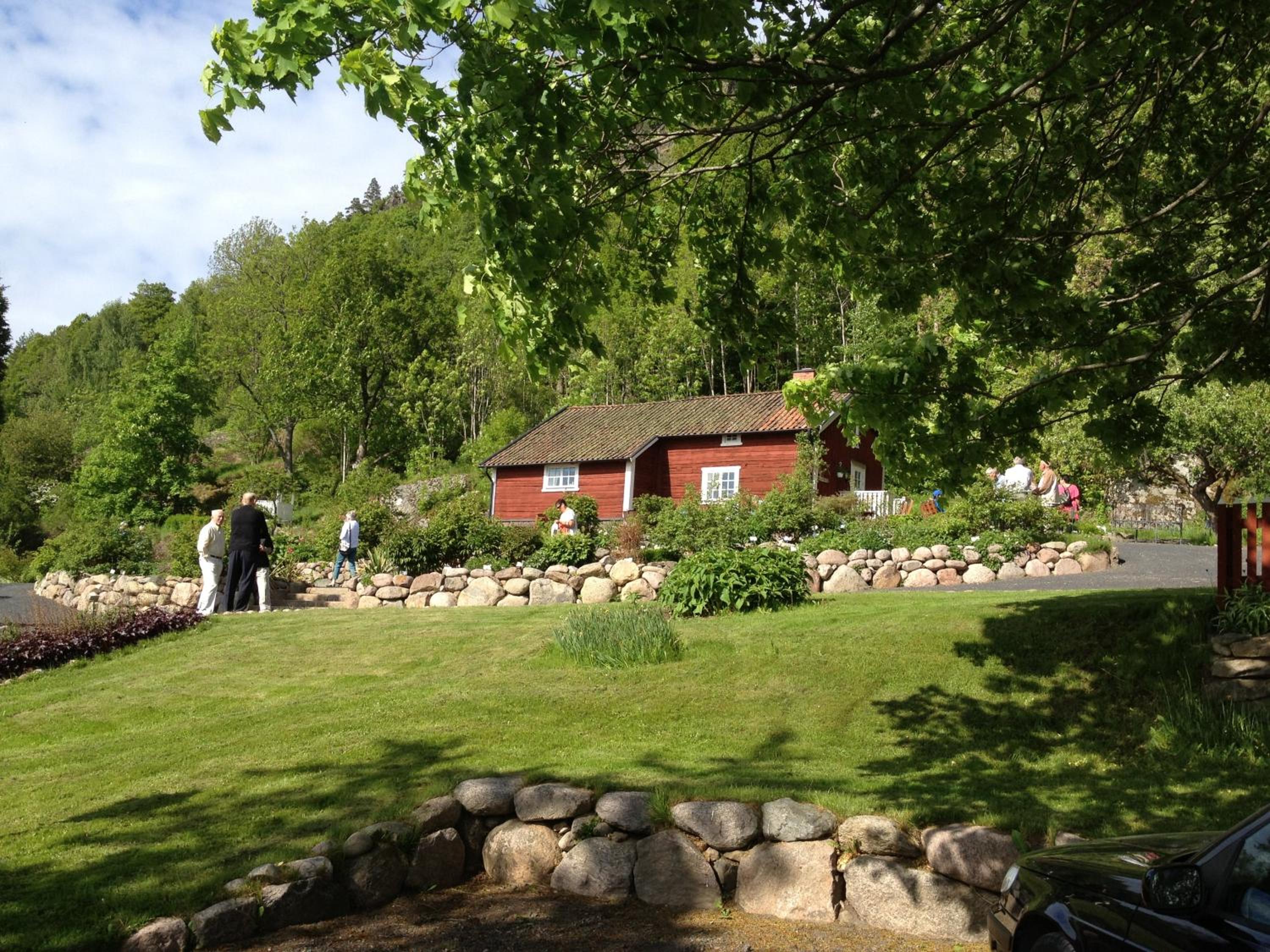 Photo 31