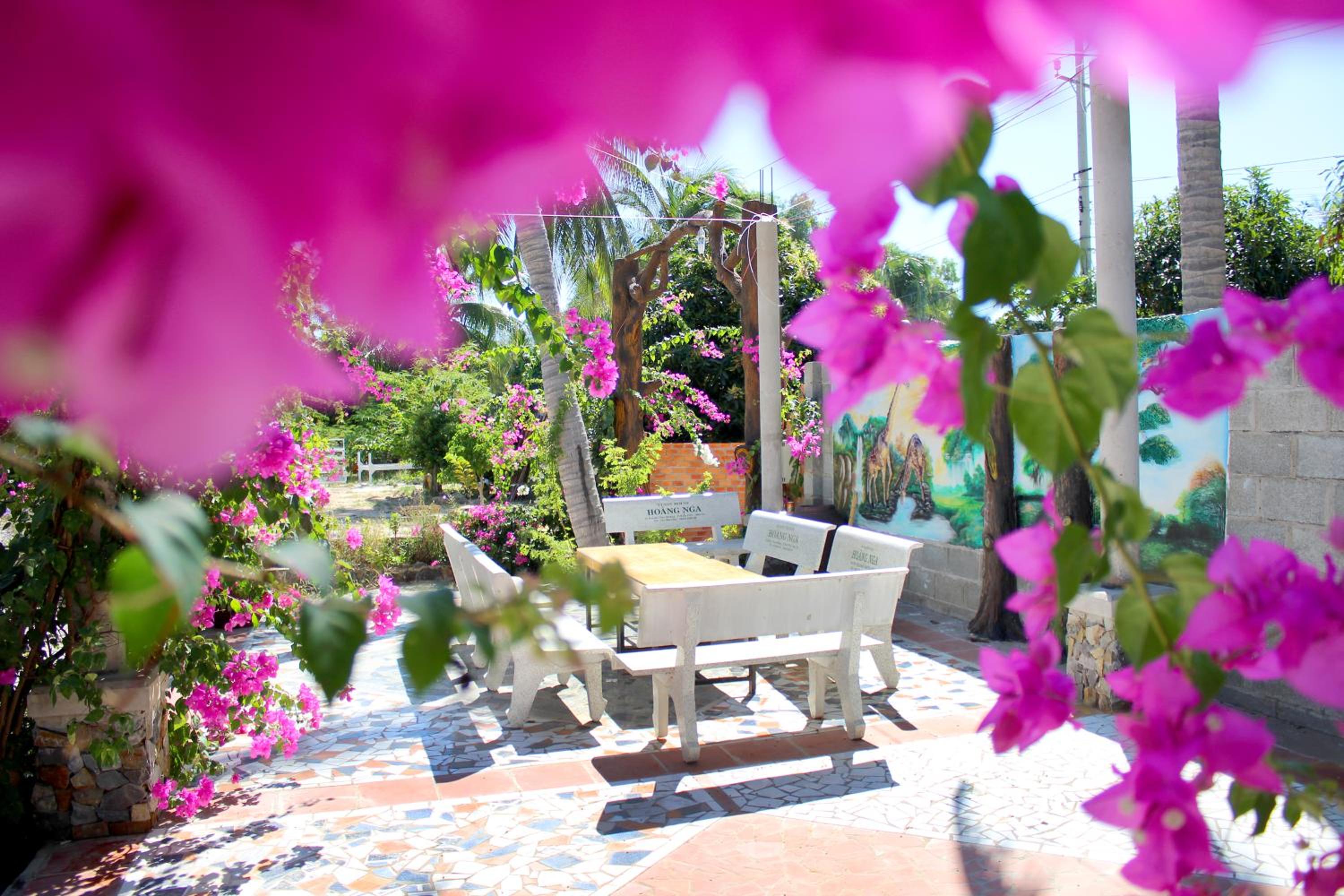 Hoang Nga Garden Guesthouse
