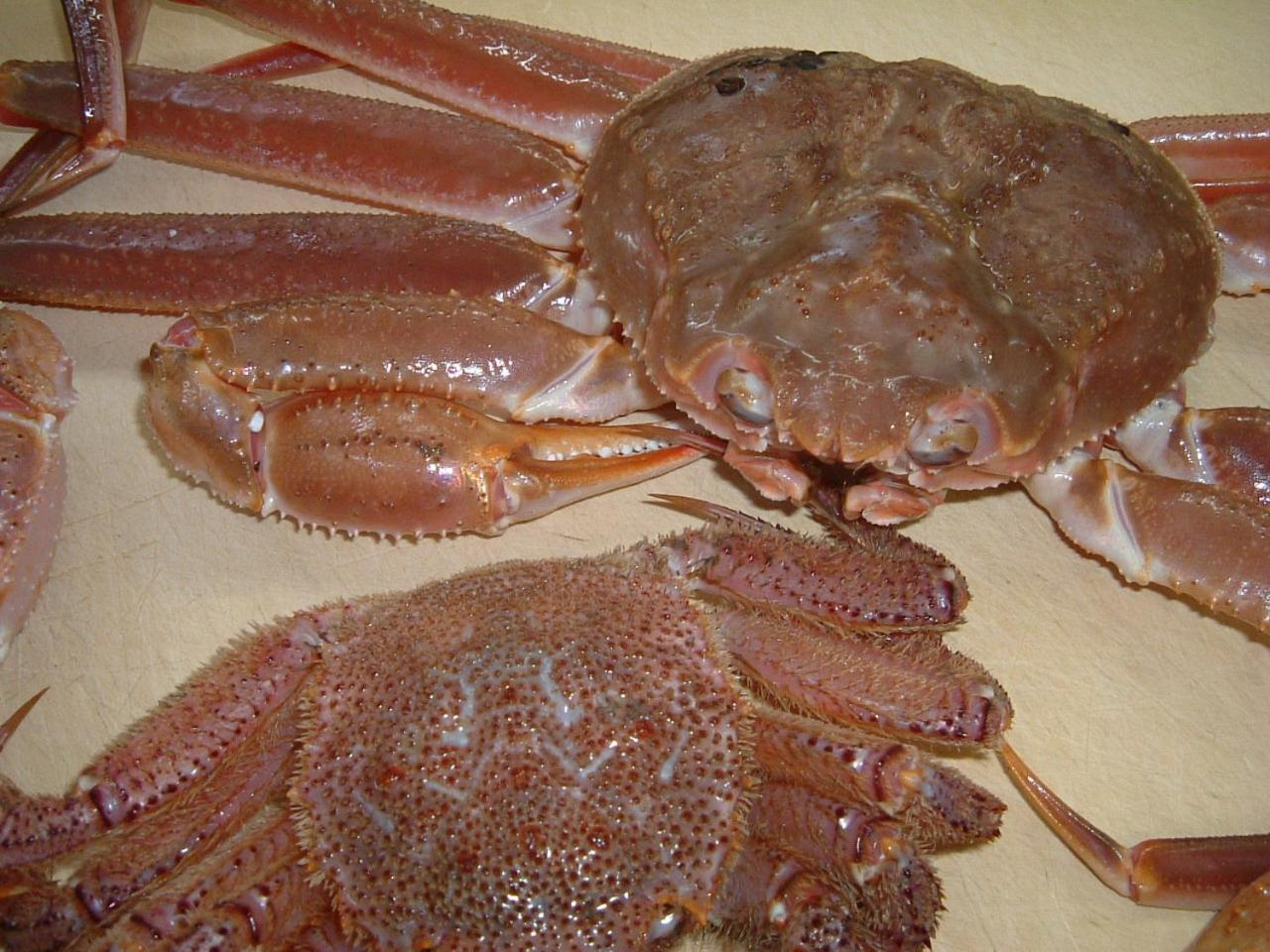 Nanauraso