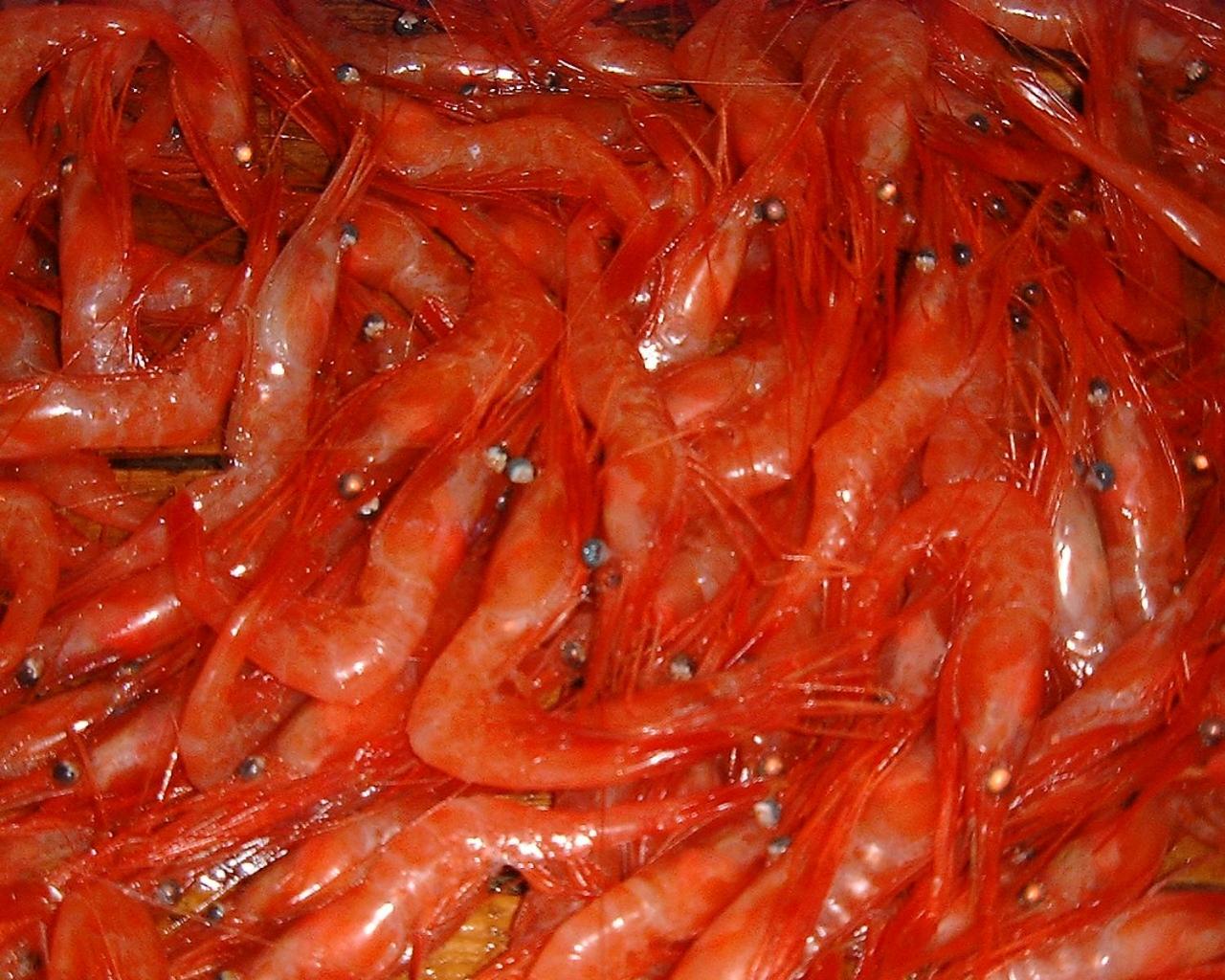 Nanauraso