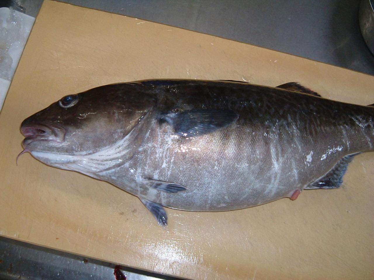 Nanauraso