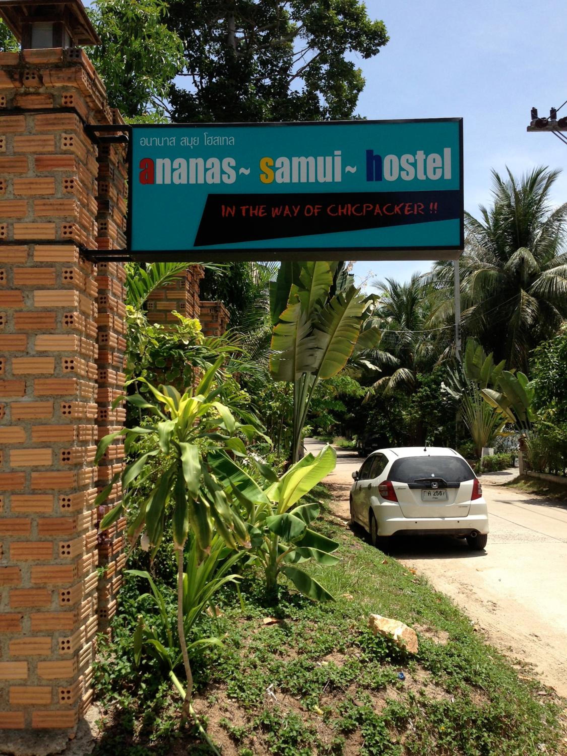 Ananas Samui Hostel