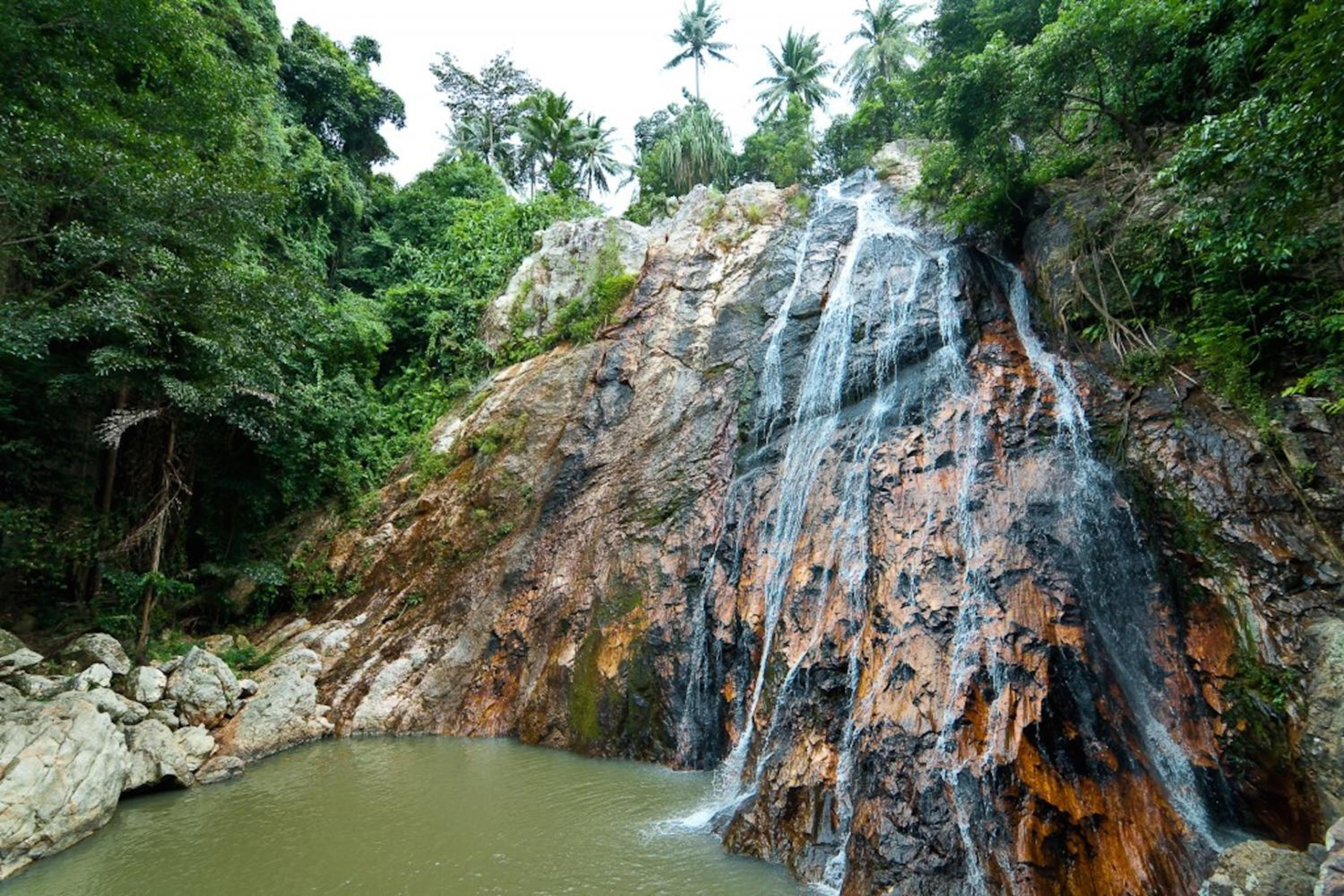 Ananas Samui Hostel