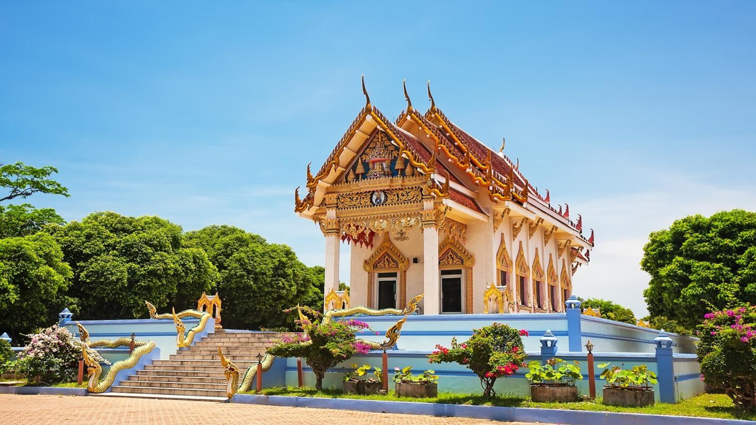 Ananas Samui Hostel