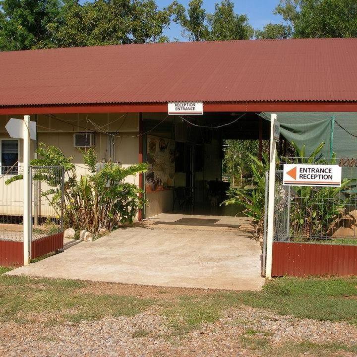 Pandanus on Litchfield view 3