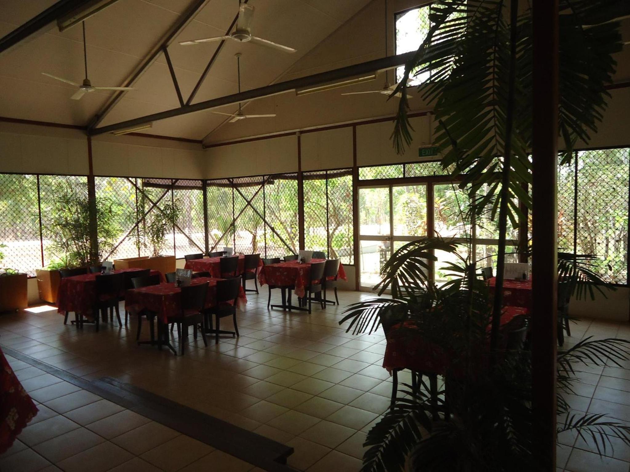 Pandanus on Litchfield view 4