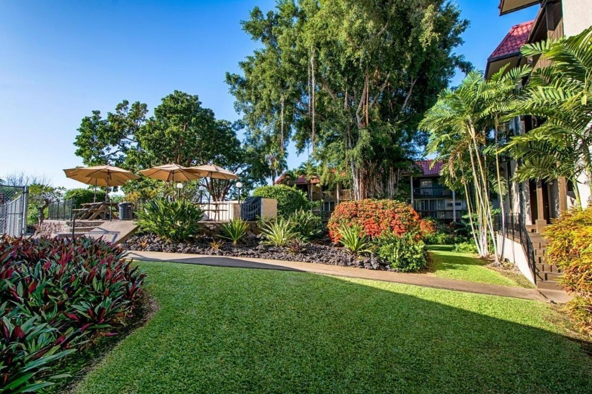 Kailua Village 2BR with AC, Pool and Parking, Walk to Oceanfront
