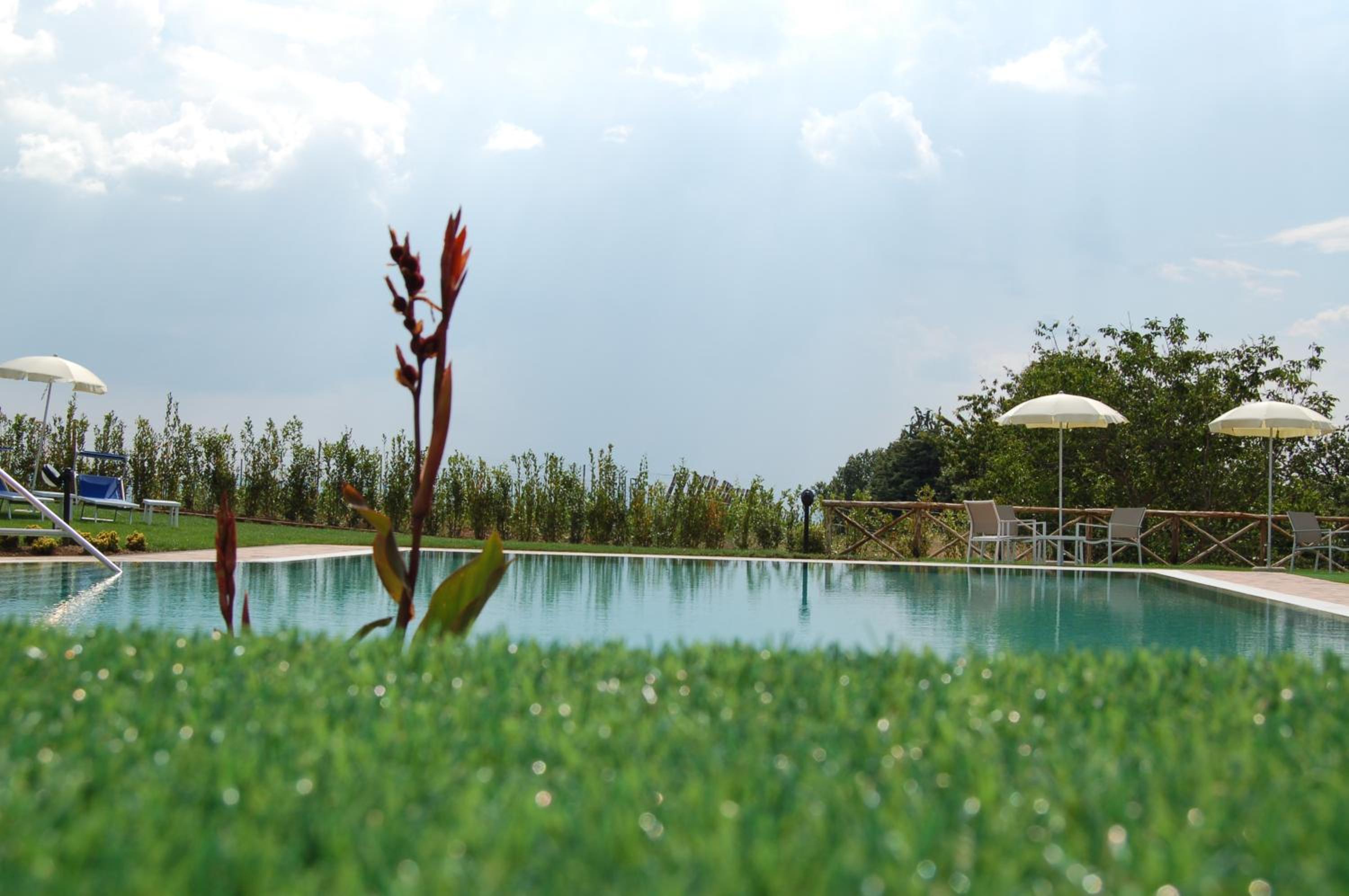 Agriturismo Poggio Al Tufo