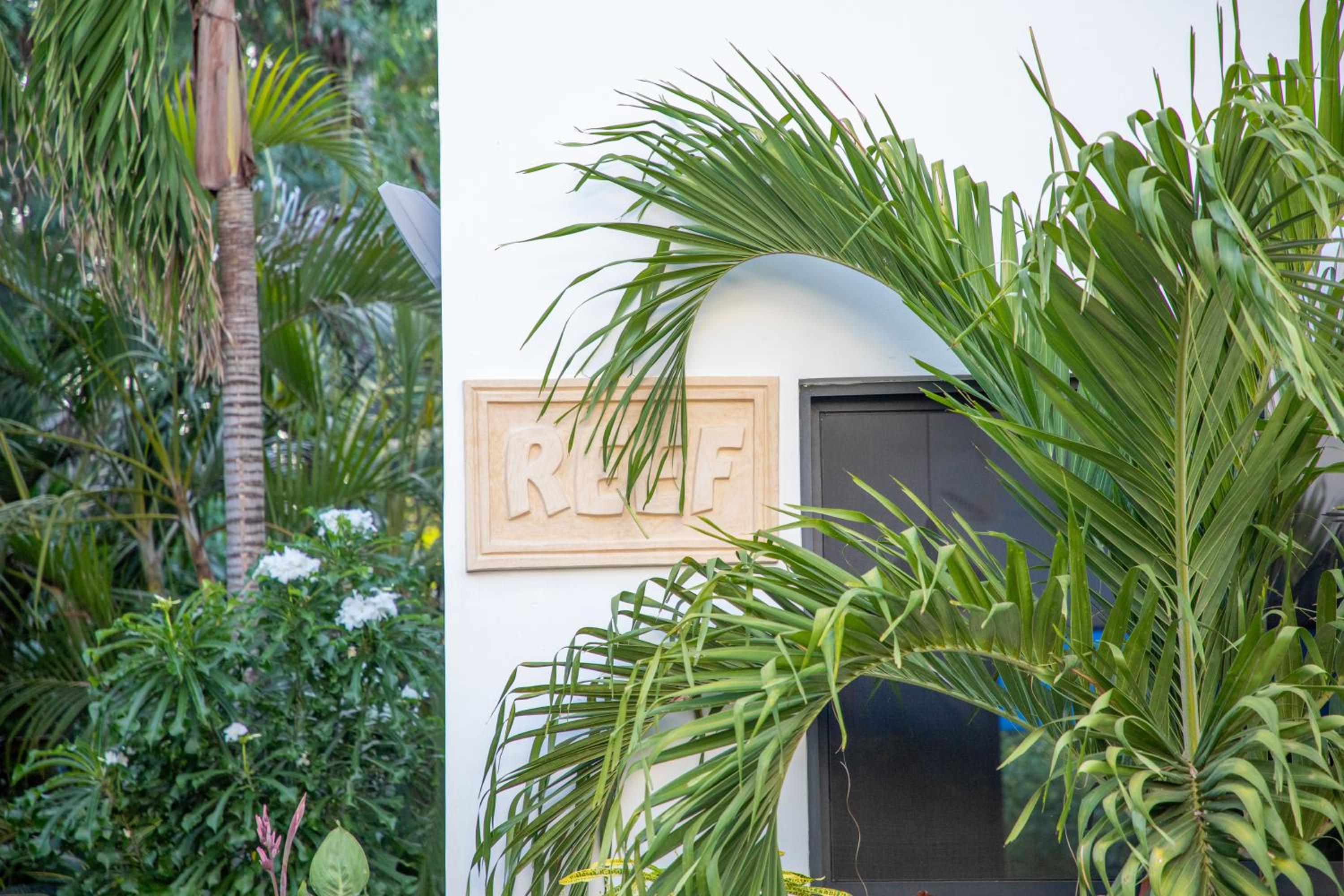 Coral Reef Villas - luxury 5 star villas each with private pool, Watamu