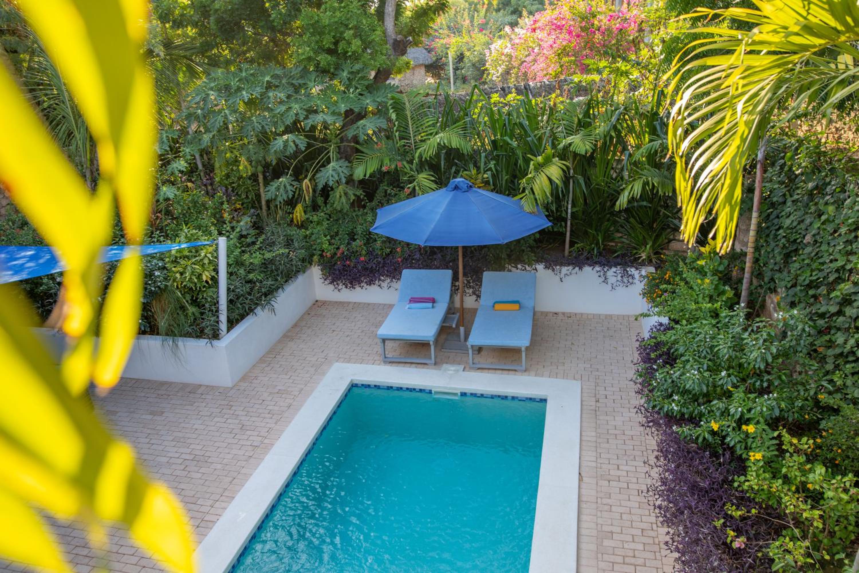 Coral Reef Villas - luxury 5 star villas each with private pool, Watamu