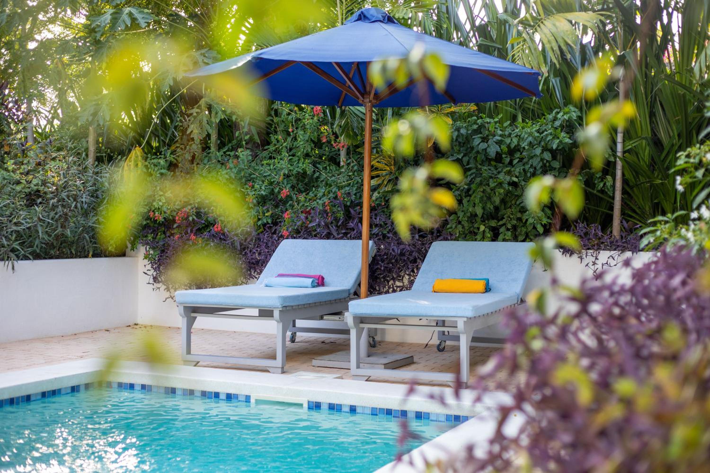 Coral Reef Villas - luxury 5 star villas each with private pool, Watamu
