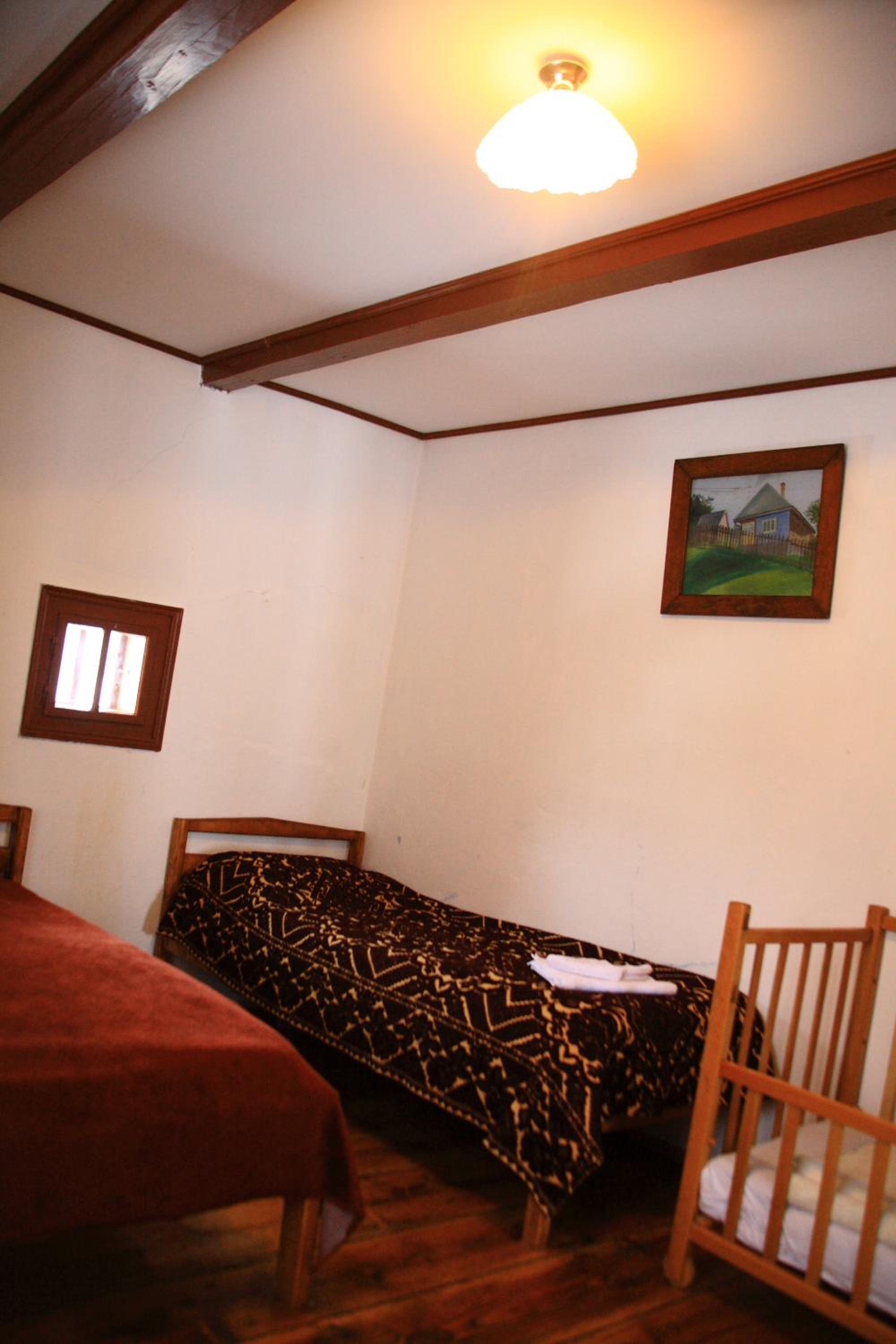 Cabana Bunicilor view 2