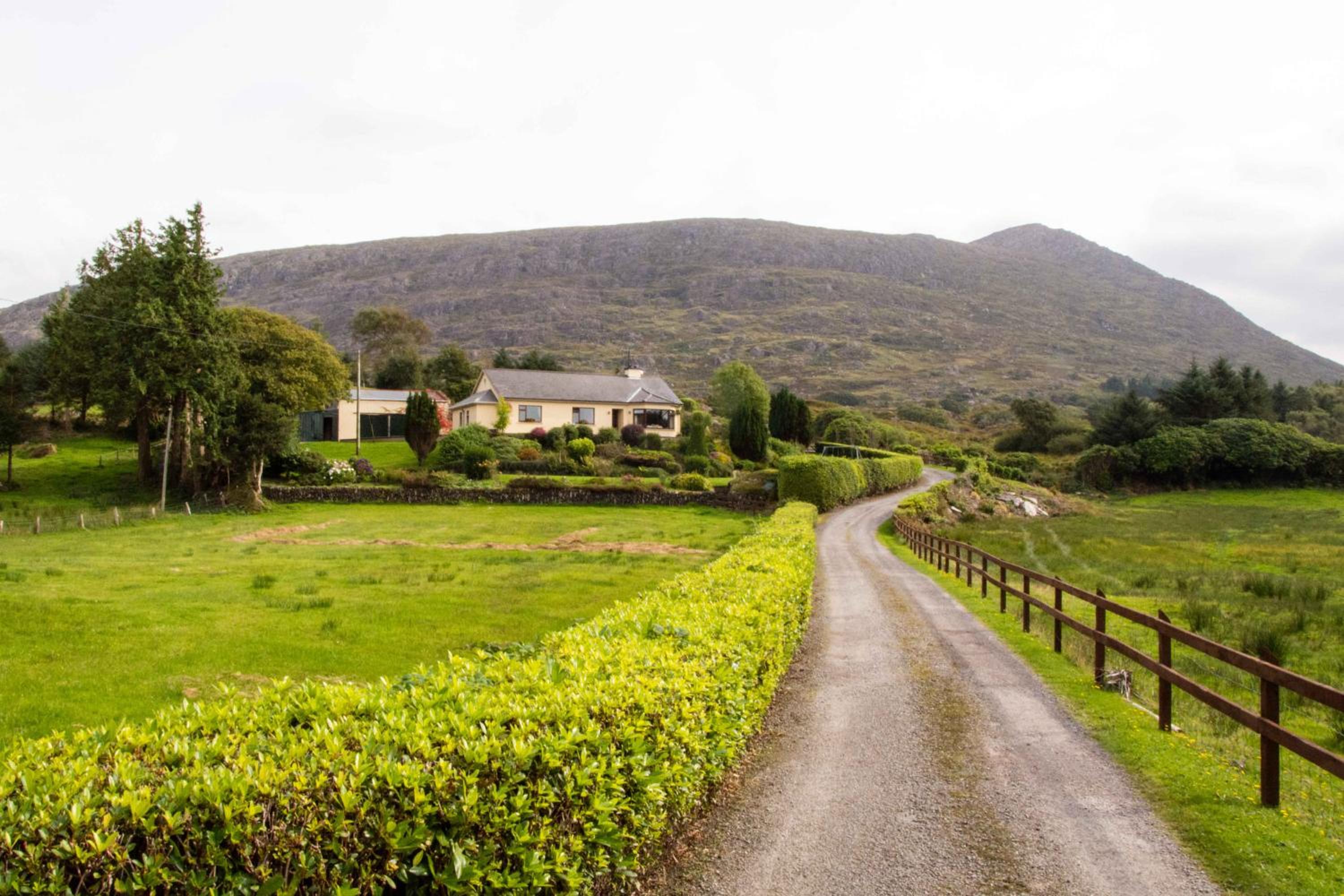 Mountain View B&B