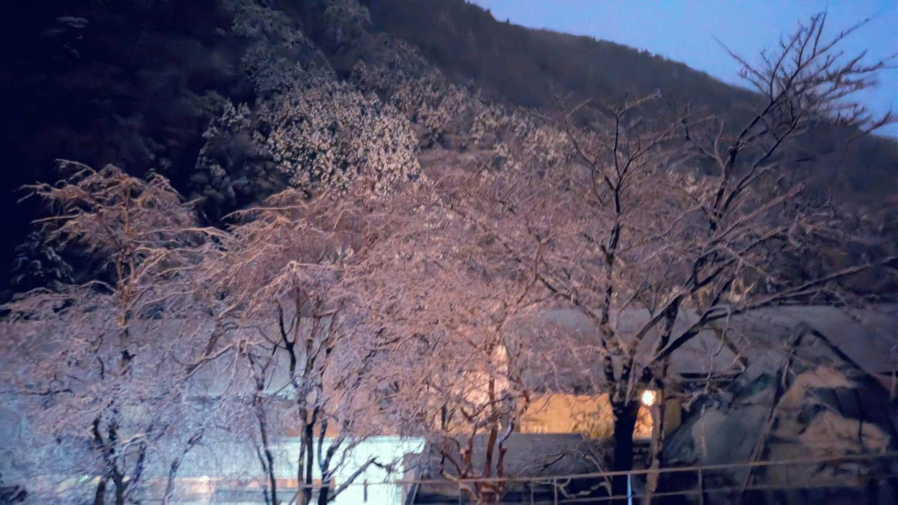 condominium SAKURA B5