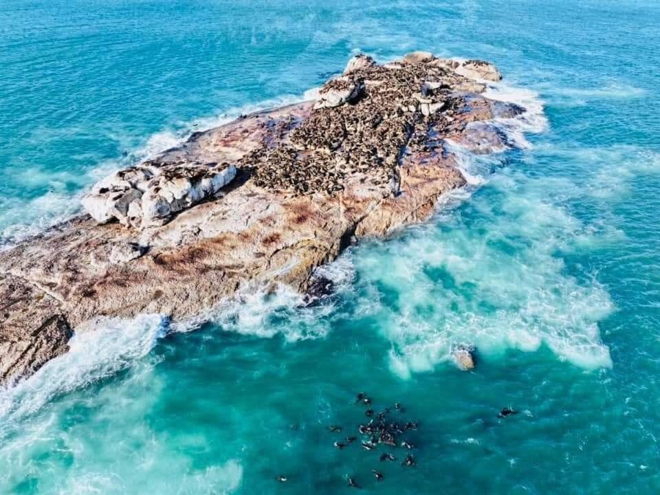 Beautiful Sea view apartment 45 De Valle Diaz Mosselbay
