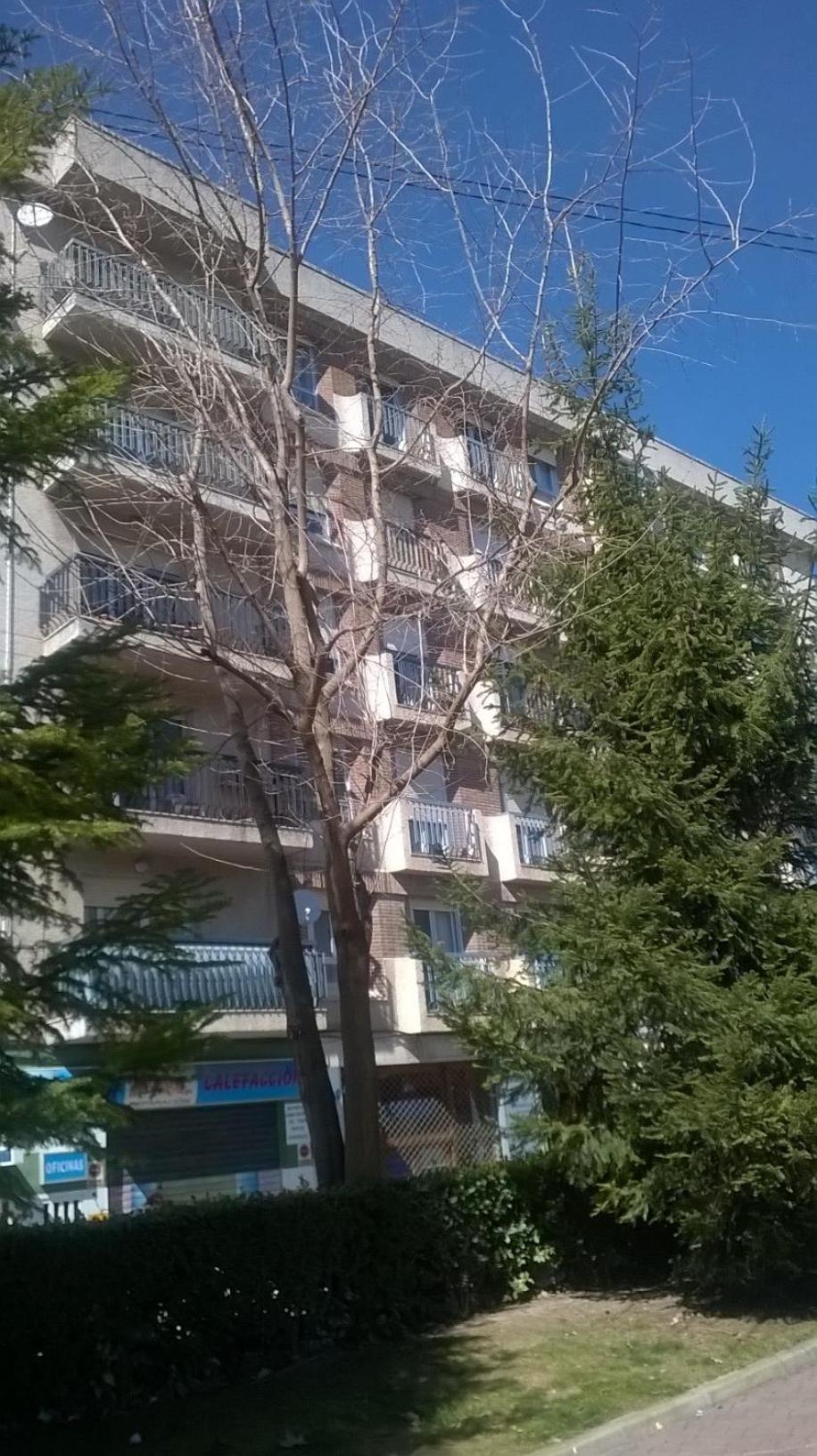 Apartamento Isabel