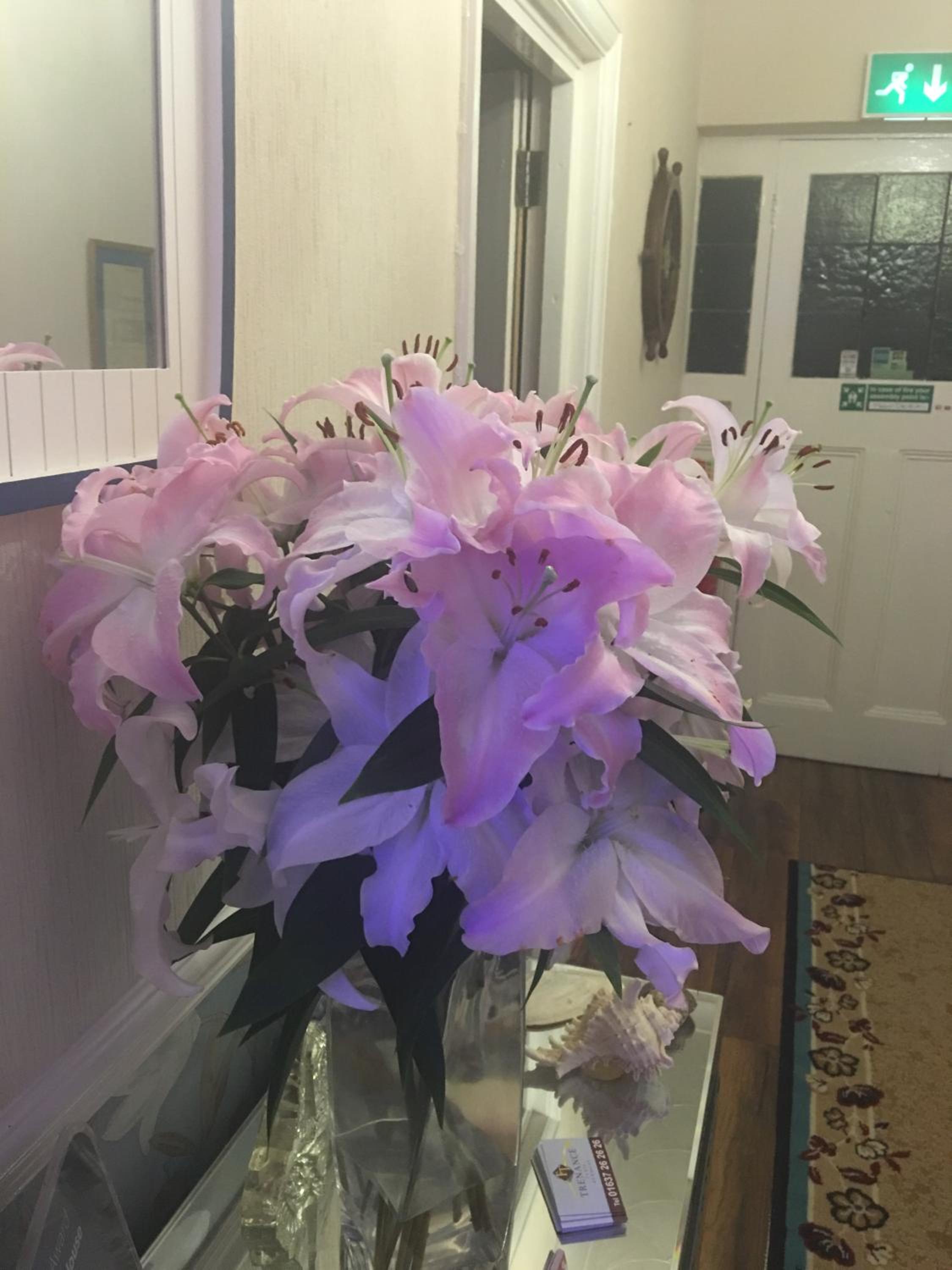 Jasmine House
