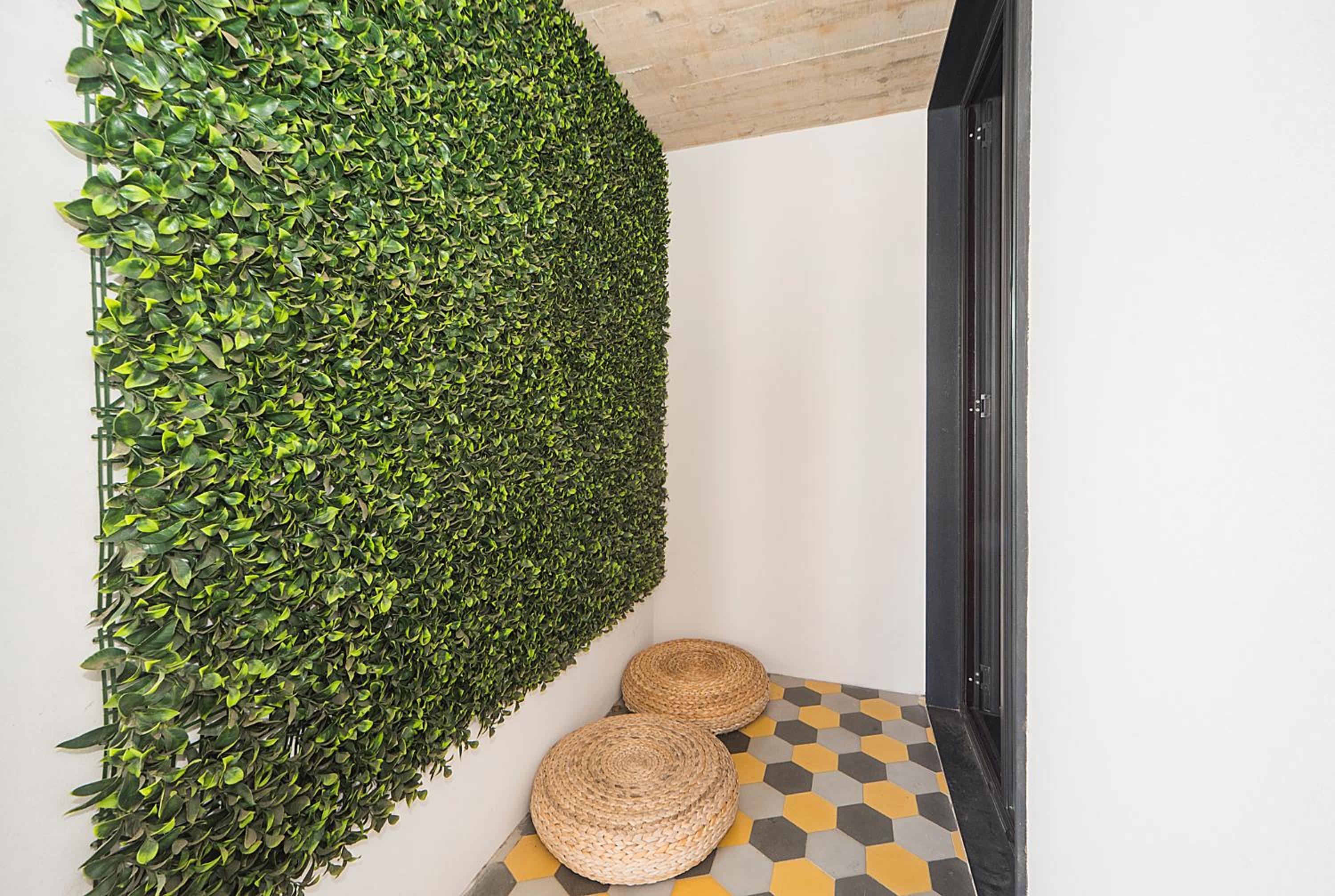 Intendente Prime Studio by Hosty