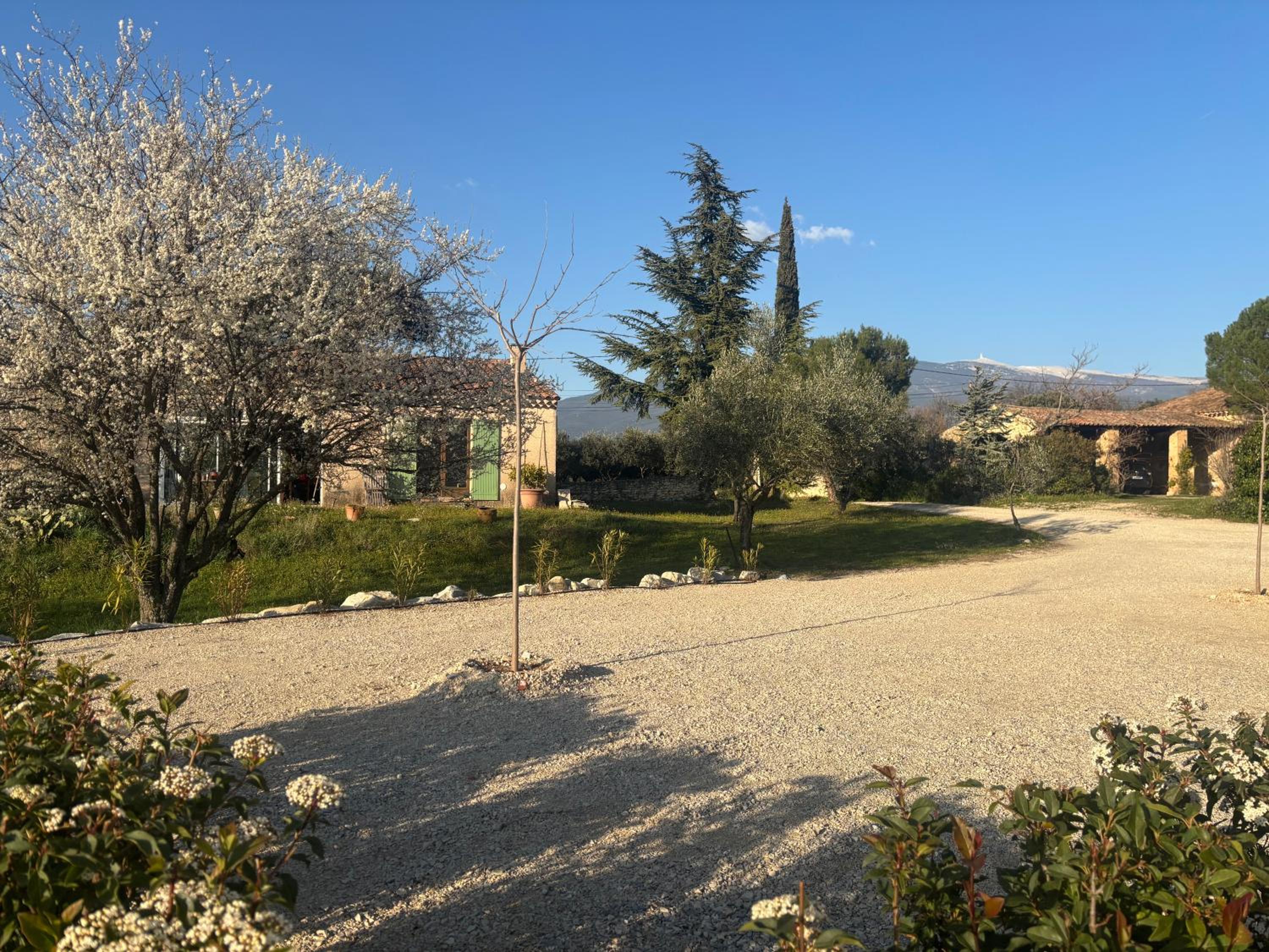 Appartement neuf Bédoin - Les Cinglés du Mont Ventoux