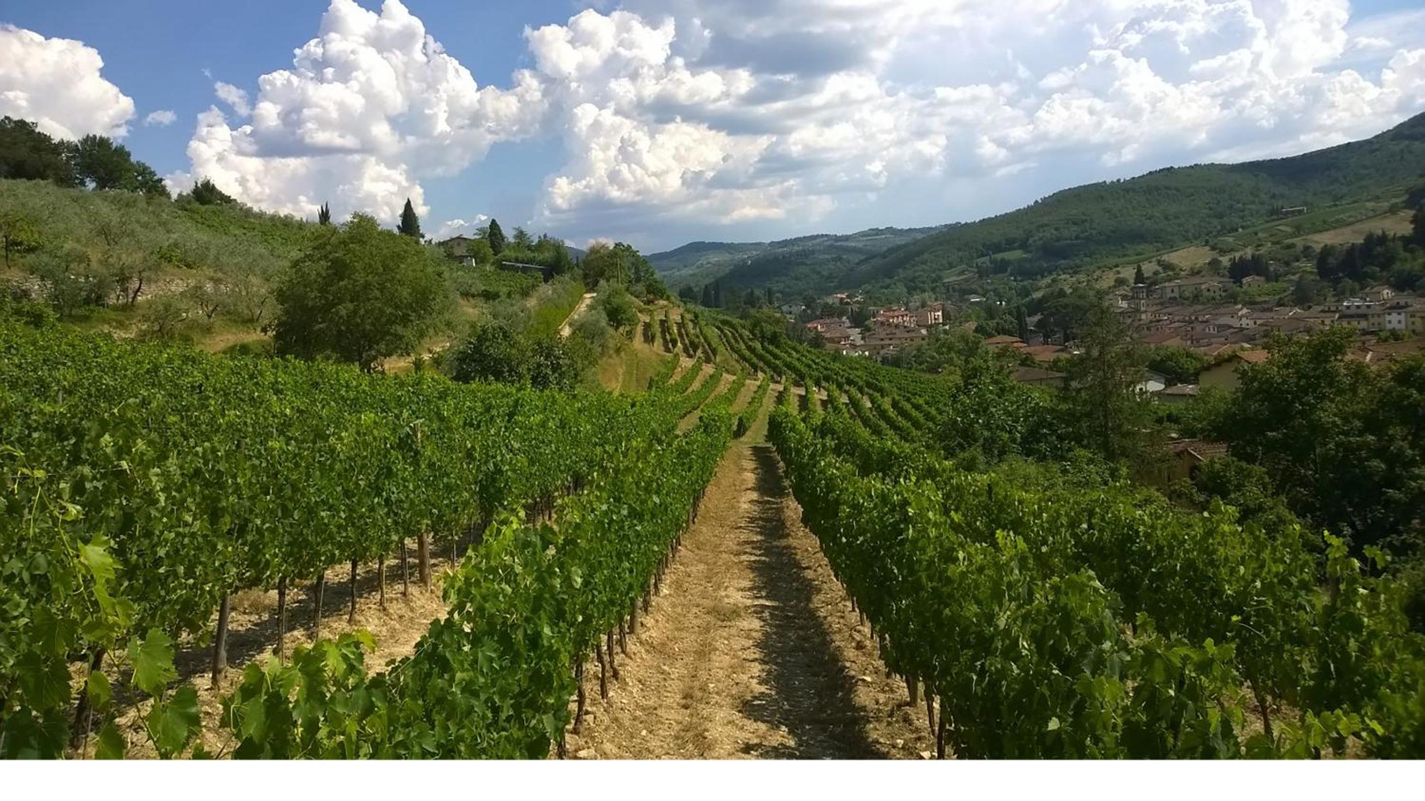 Podere Campriano Winery Adult only view 2