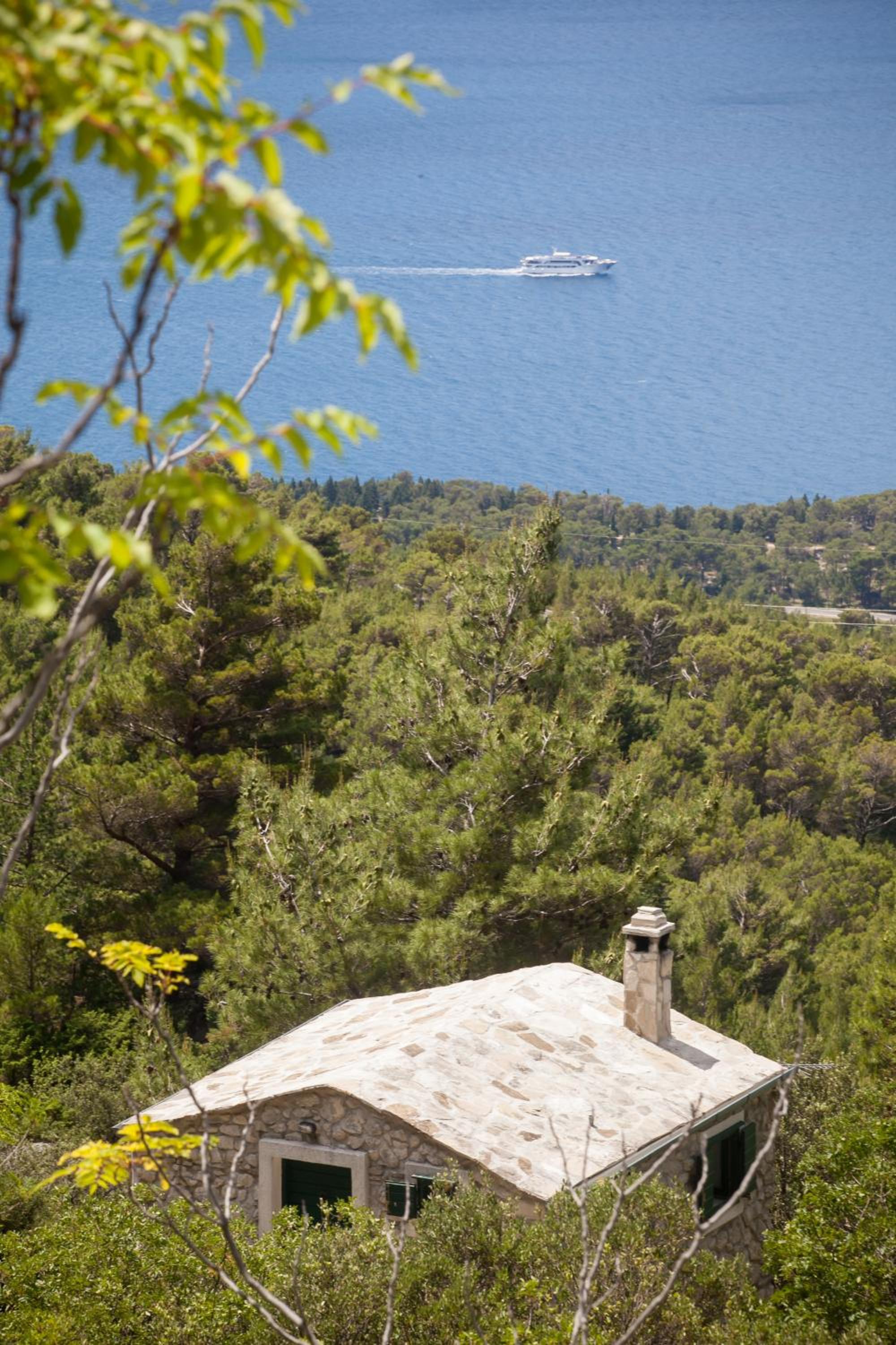Holiday Home Dalmatinska Kuća view 5