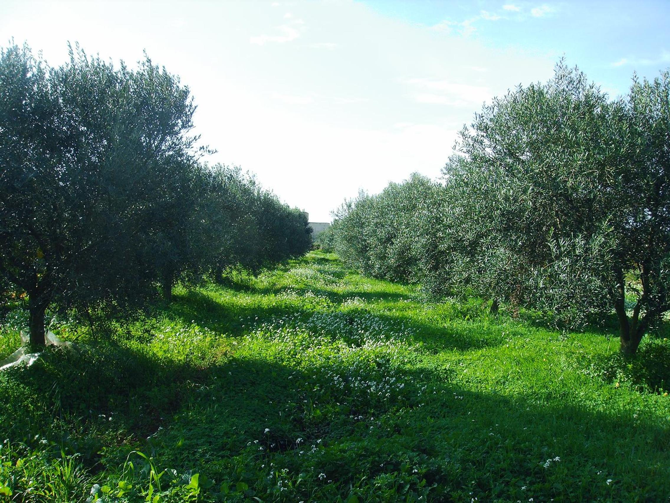 Photo 24