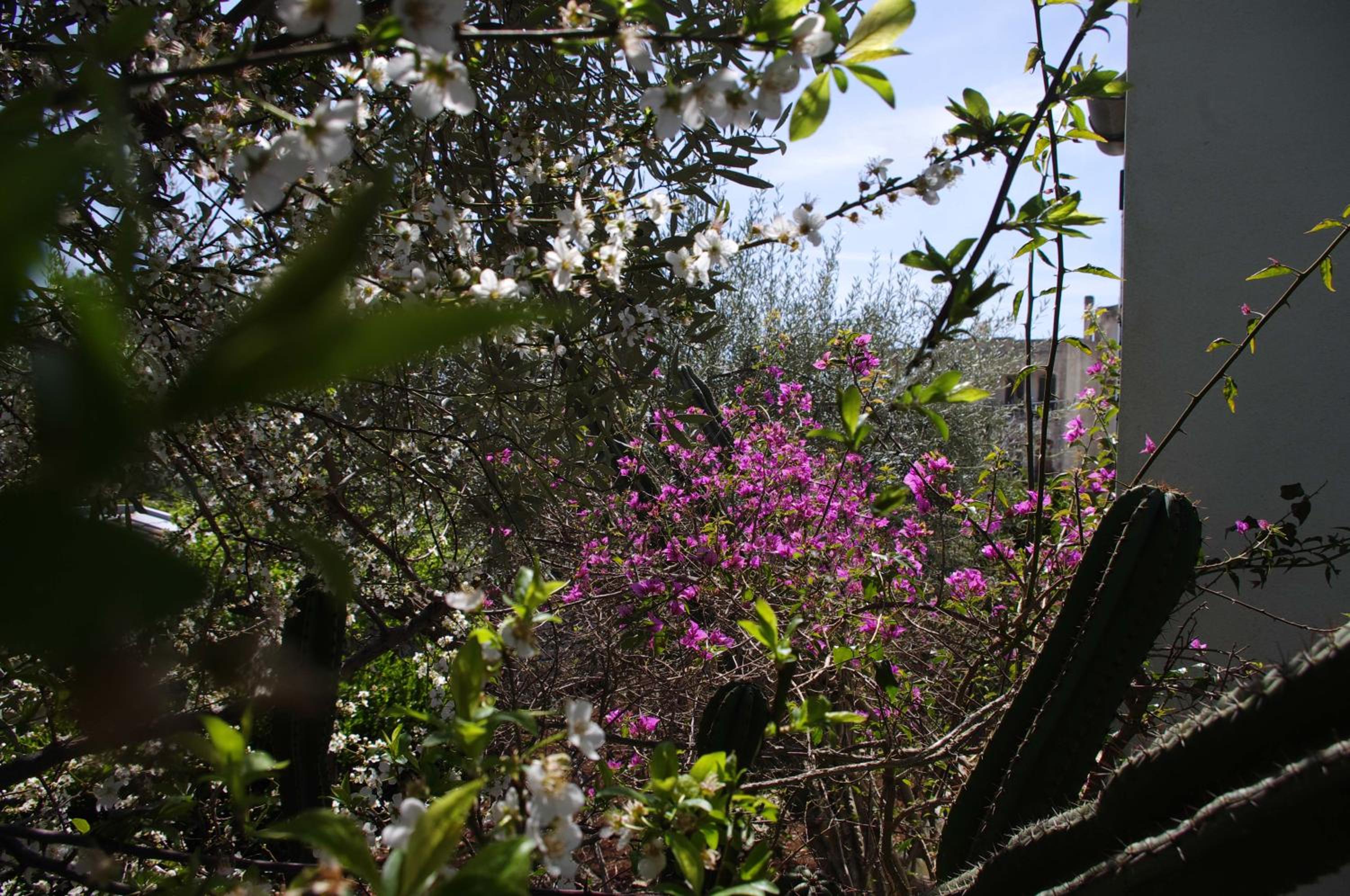 La Piccola Locanda, photo 104